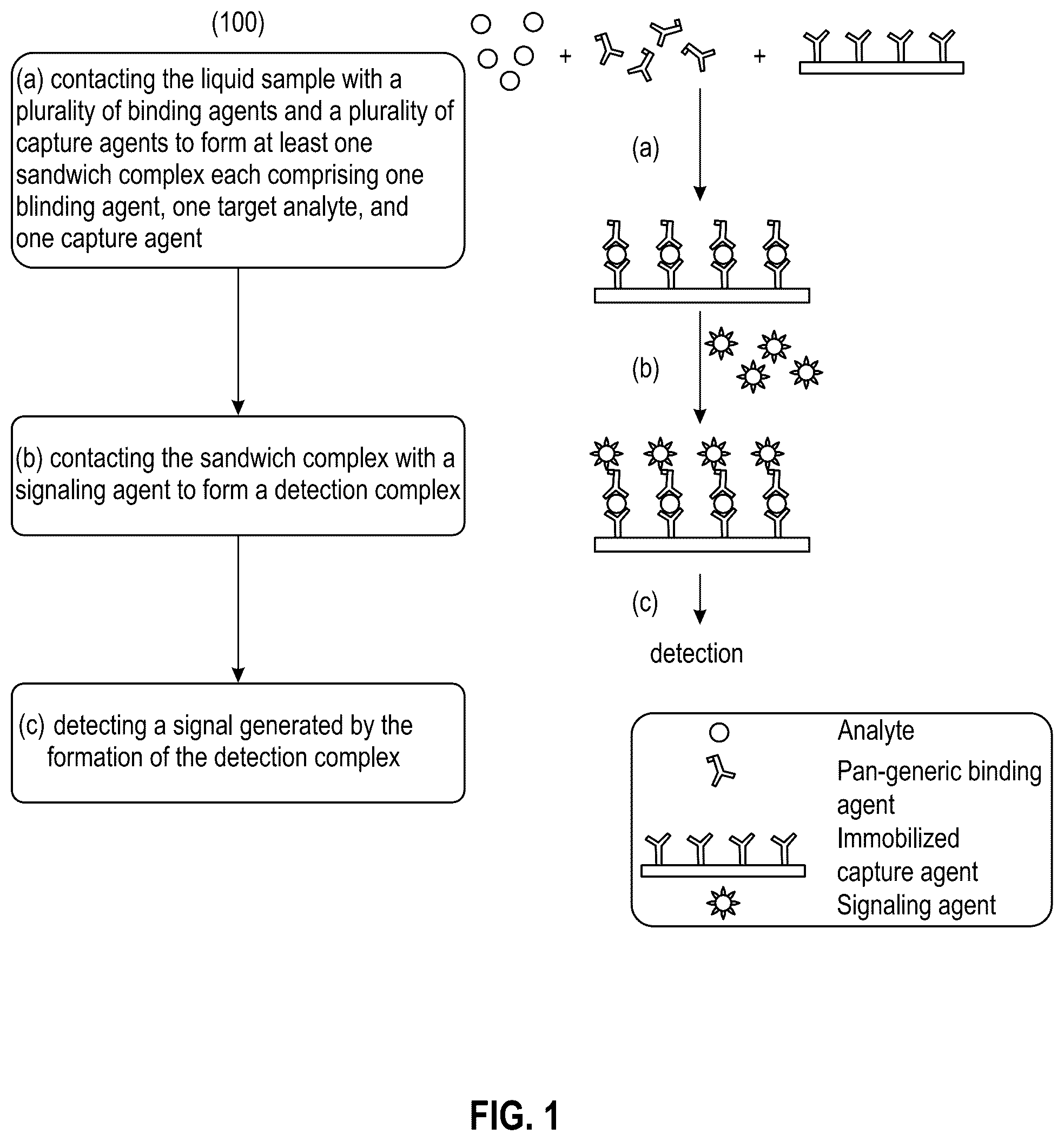 Patent US12326446 Figure 1 – Sequential lateral flow device