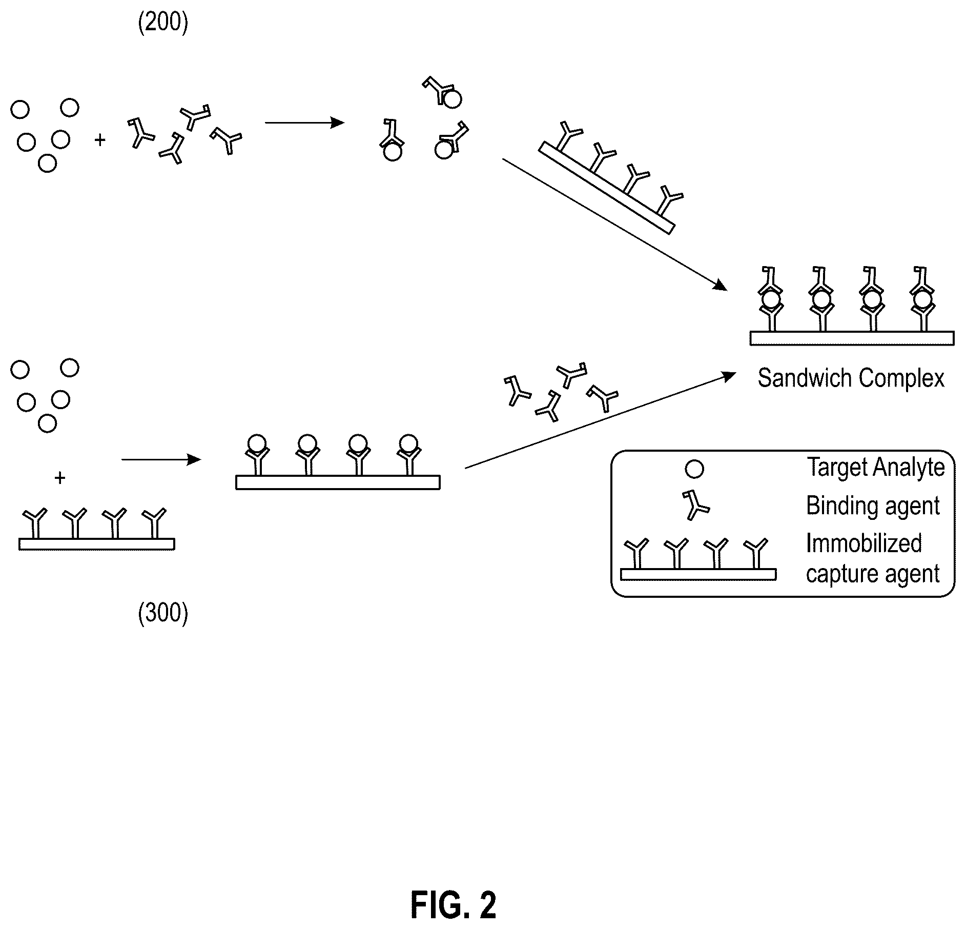 Patent US12326446 Figure 2 – Sequential lateral flow device