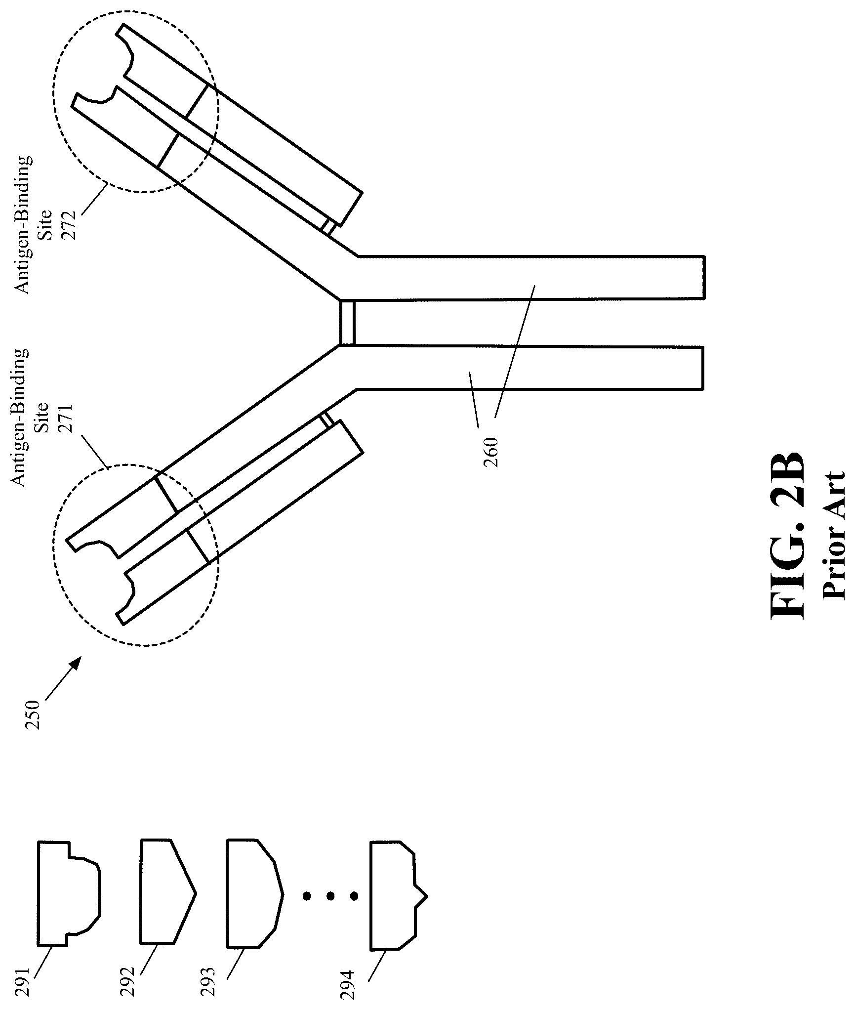 Patent US12326447 Figure 3 – Lateral flow assay for detecting multiple proteins of a pathogen