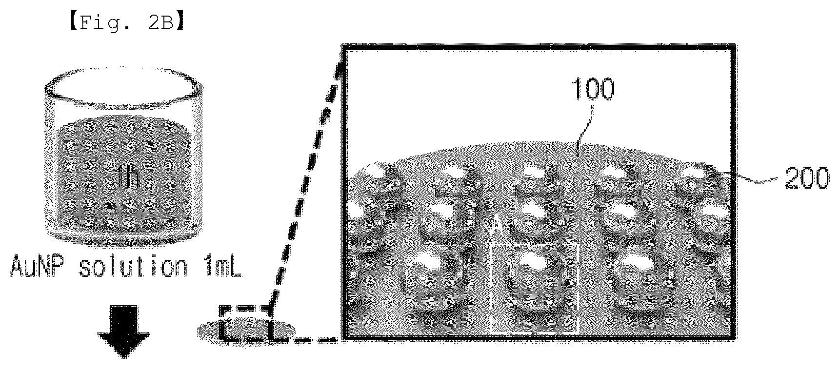 Patent US12326449 Figure 3 – Fibrinogen biological material detection sensor including an erythrocyte membrane covered metal nanoparticle and fabricating method thereof