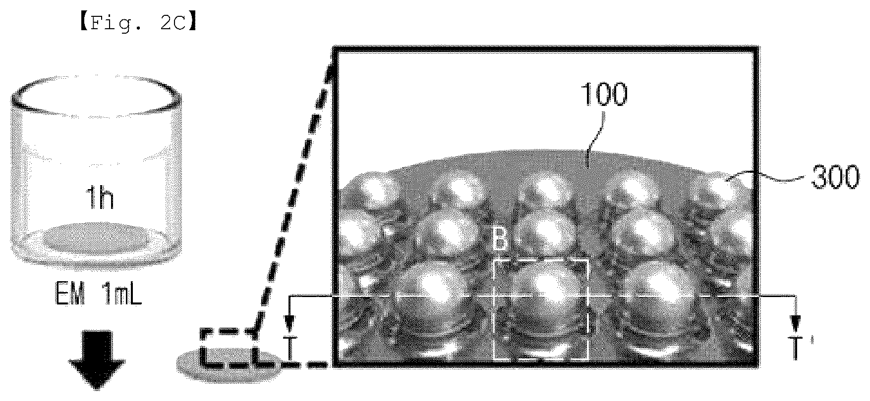 Patent US12326449 Figure 4 – Fibrinogen biological material detection sensor including an erythrocyte membrane covered metal nanoparticle and fabricating method thereof