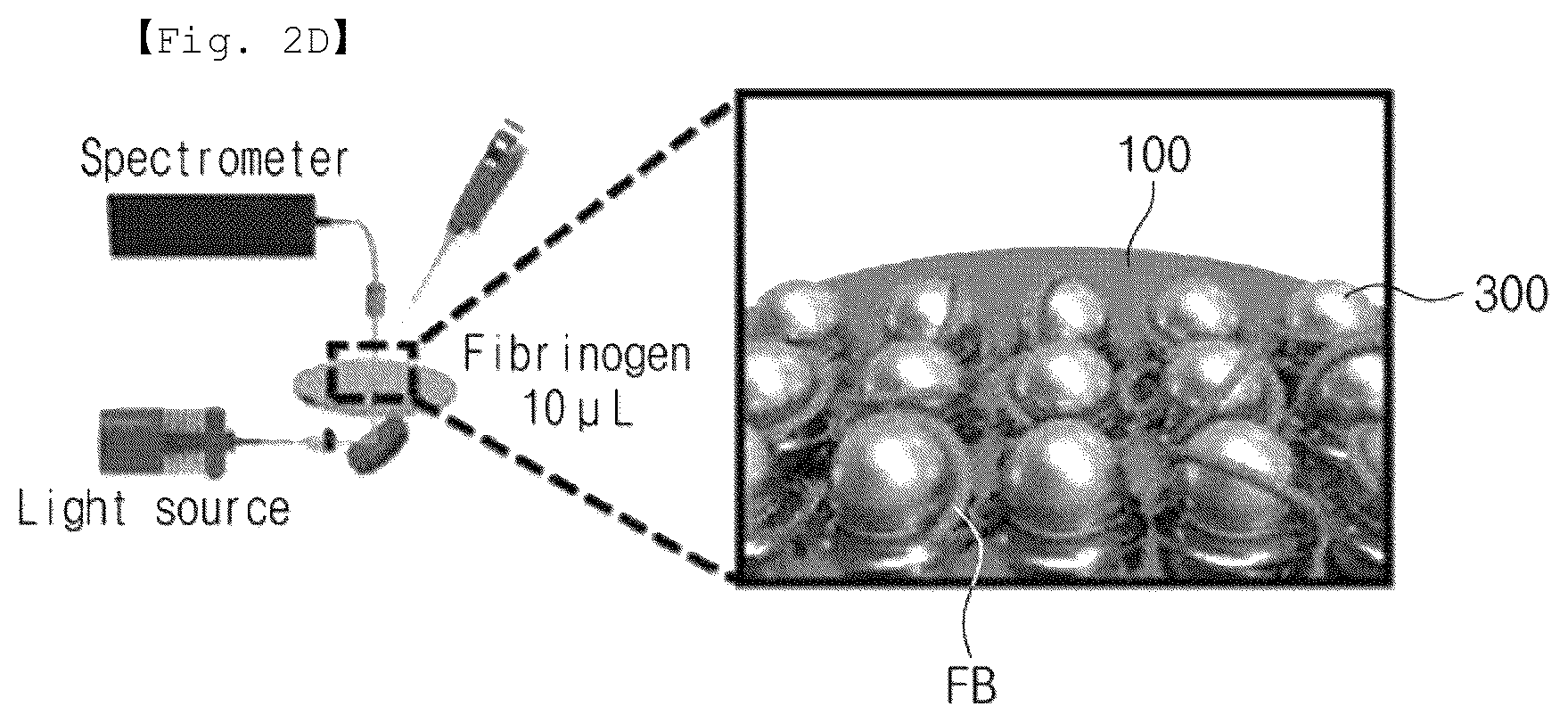 Patent US12326449 Figure 5 – Fibrinogen biological material detection sensor including an erythrocyte membrane covered metal nanoparticle and fabricating method thereof