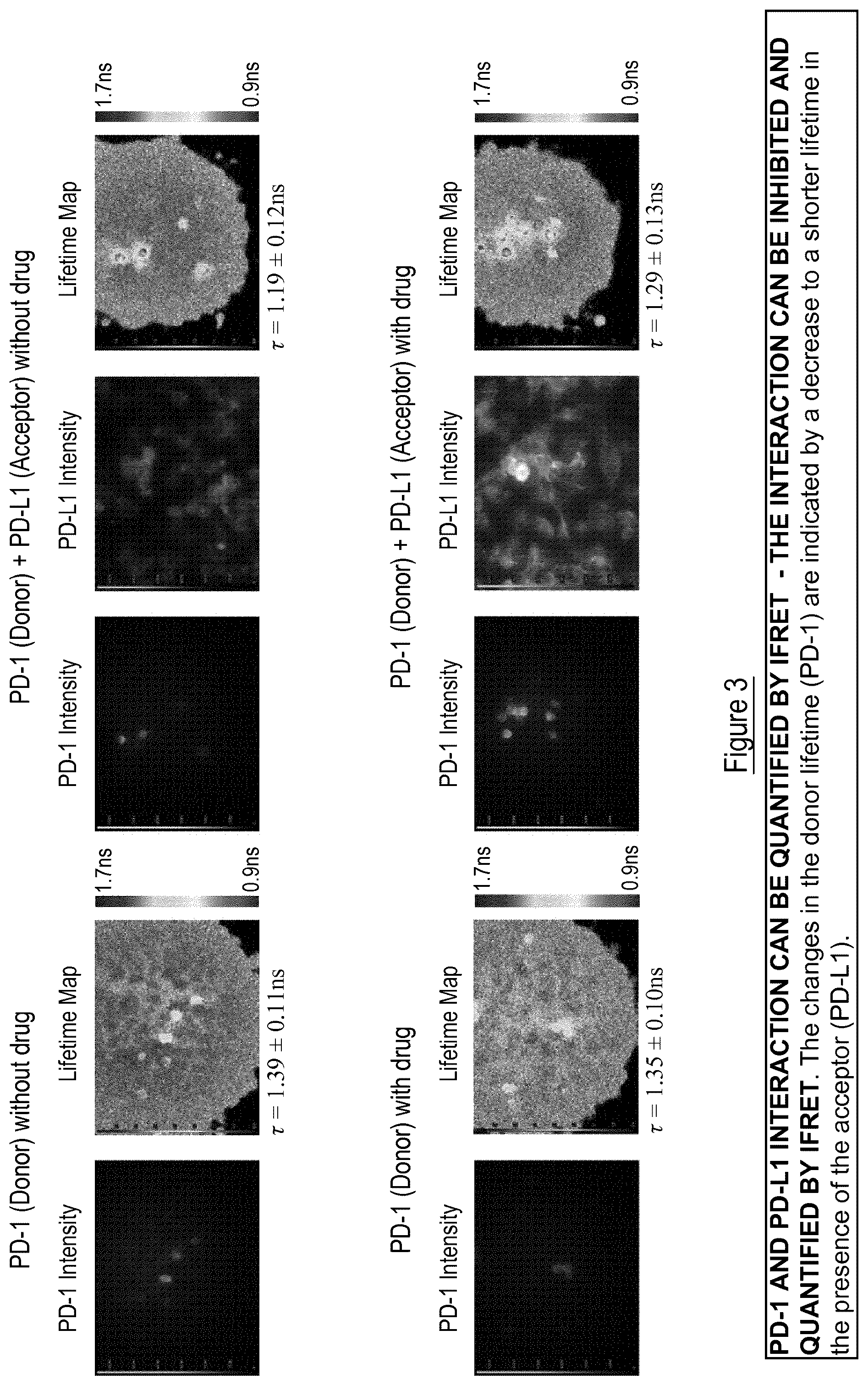 Patent US12326450 Figure 3 – Kits, methods and their uses for detecting cell-cell interactions in a sample