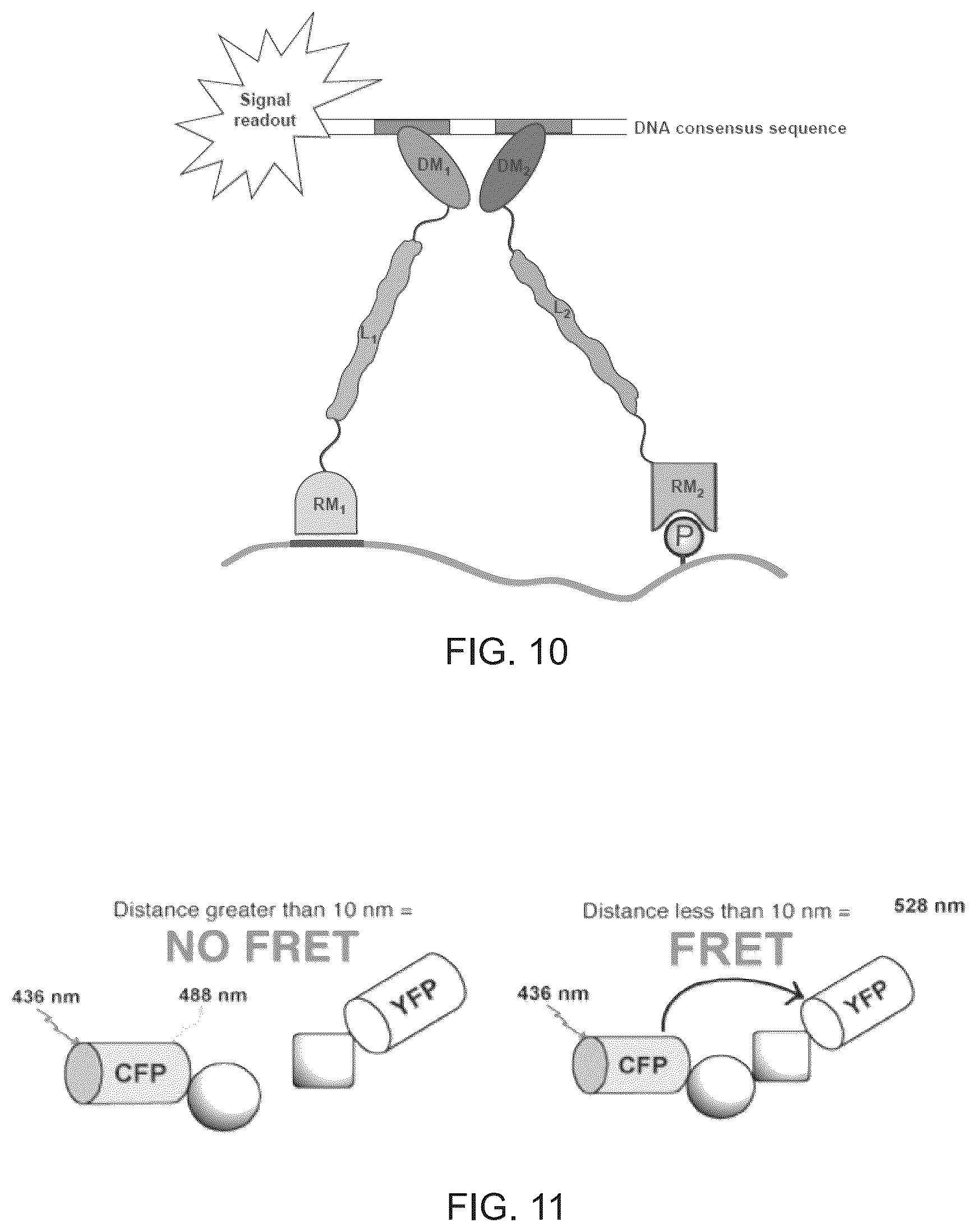 Patent US12326450 Figure 14 – Kits, methods and their uses for detecting cell-cell interactions in a sample
