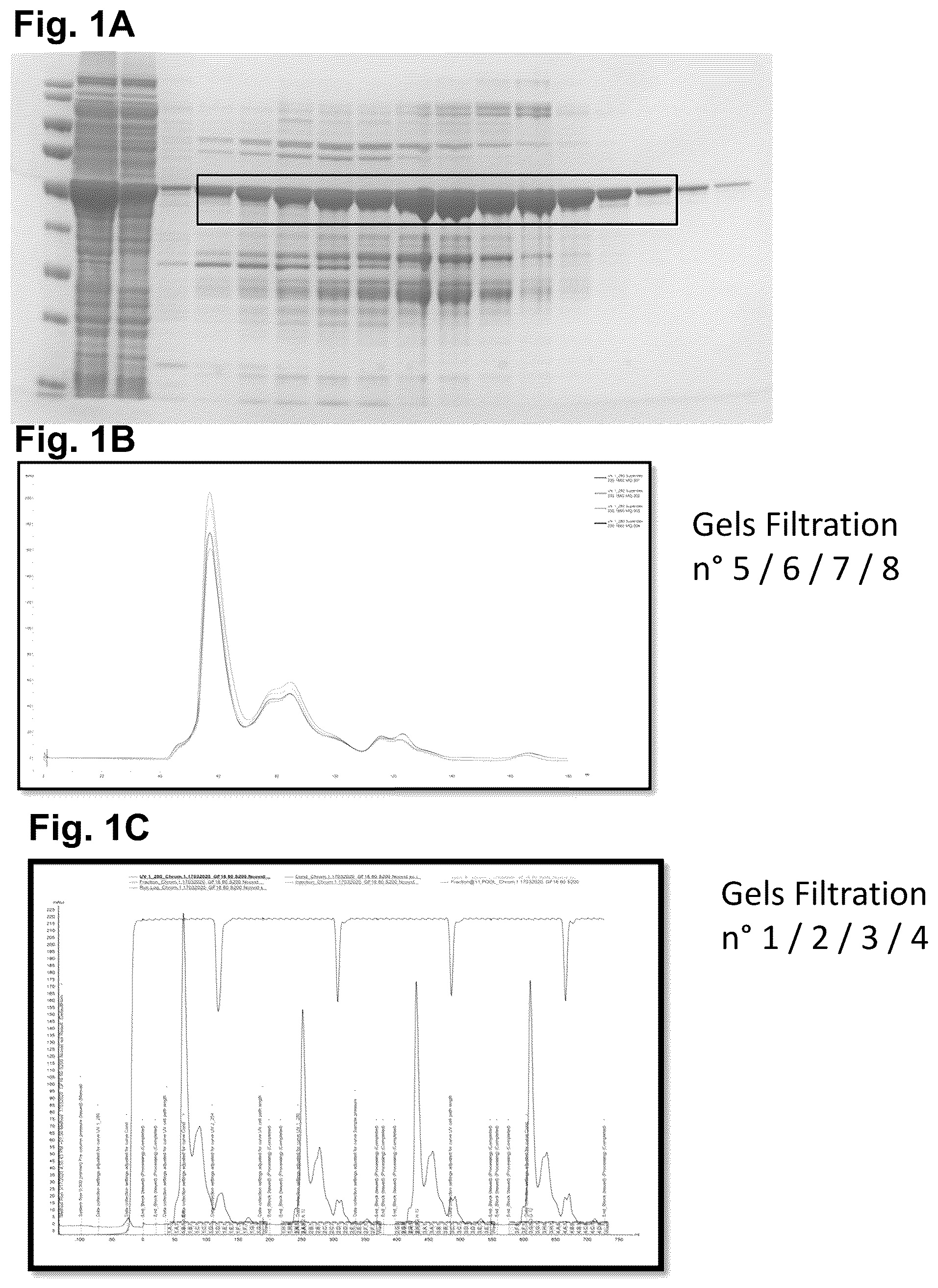 Patent US12326451 — Severe acute respiratory syndrome (SARS)—associated coronavirus diagnostics — Figure 1