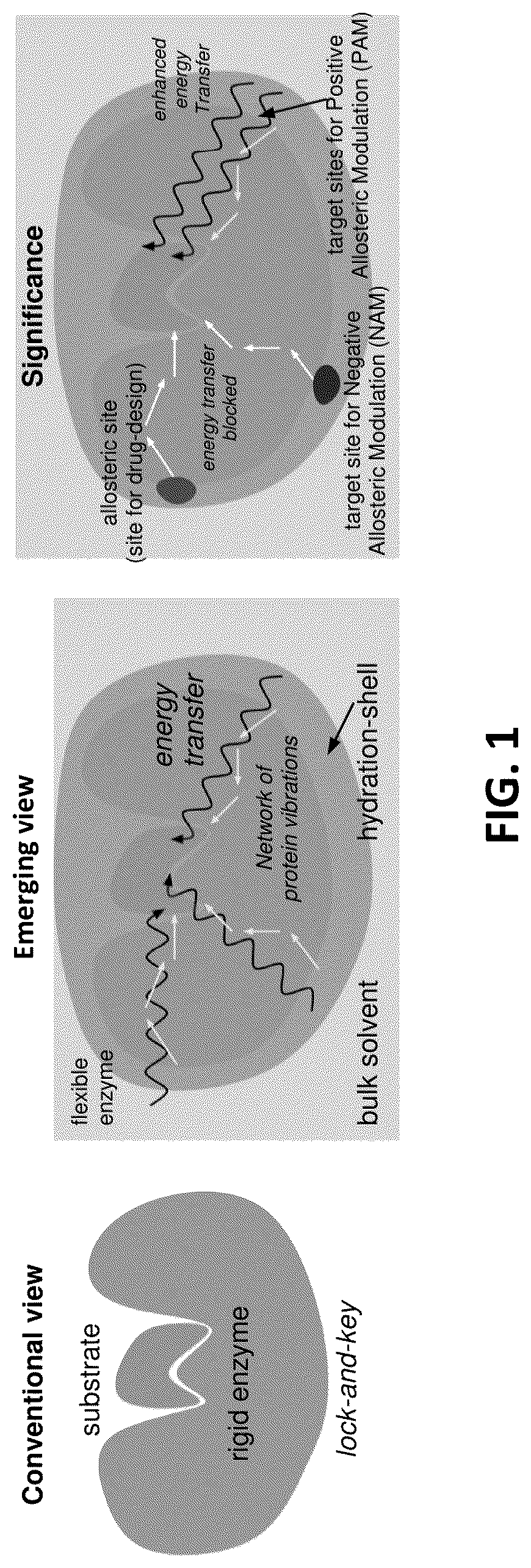Patent US12326454 Figure 1 – Systems and methods for identifying positive allosteric modulators of enzymes to enhance activity