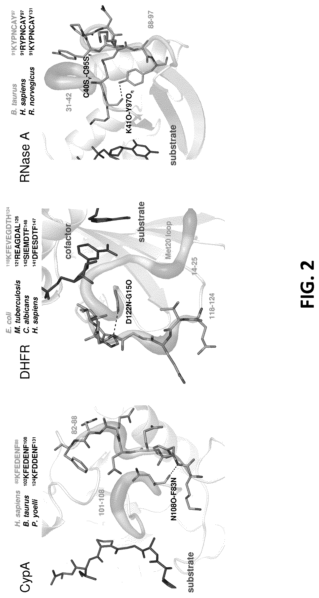 Patent US12326454 Figure 2 – Systems and methods for identifying positive allosteric modulators of enzymes to enhance activity
