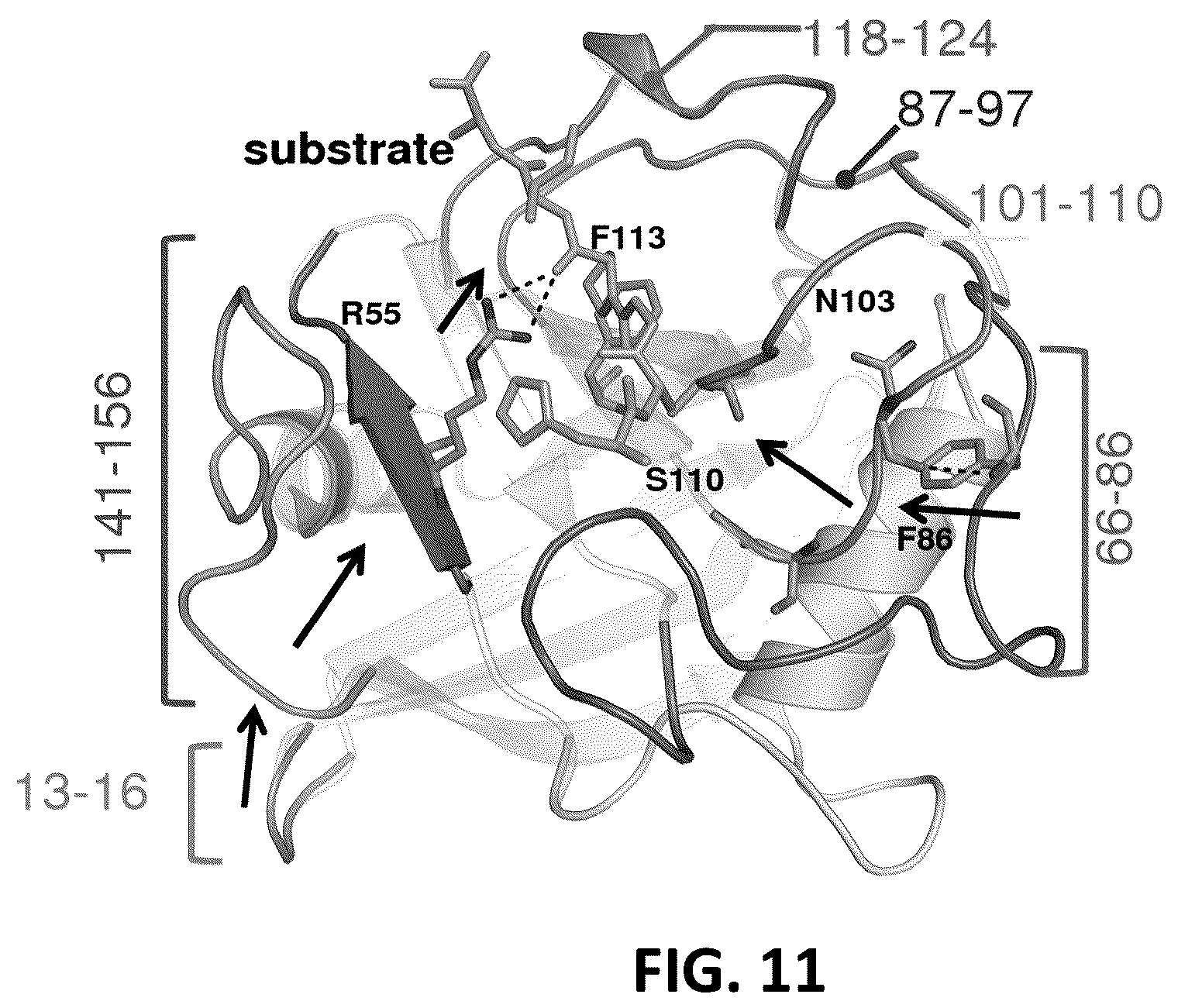 Patent US12326454 Figure 11 – Systems and methods for identifying positive allosteric modulators of enzymes to enhance activity