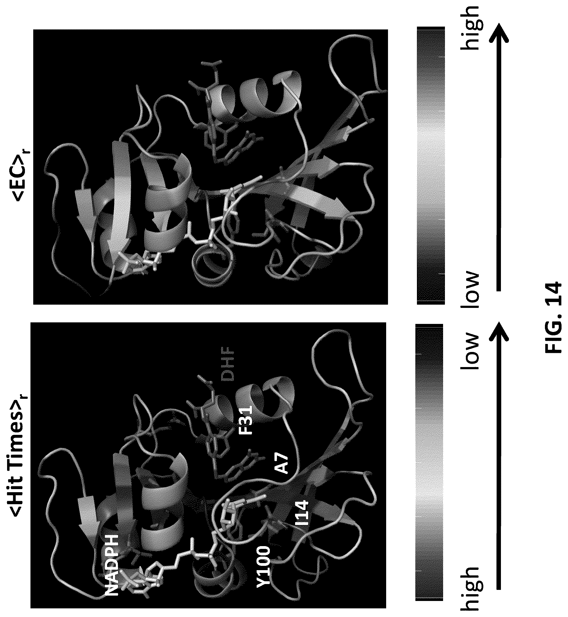 Patent US12326454 Figure 14 – Systems and methods for identifying positive allosteric modulators of enzymes to enhance activity