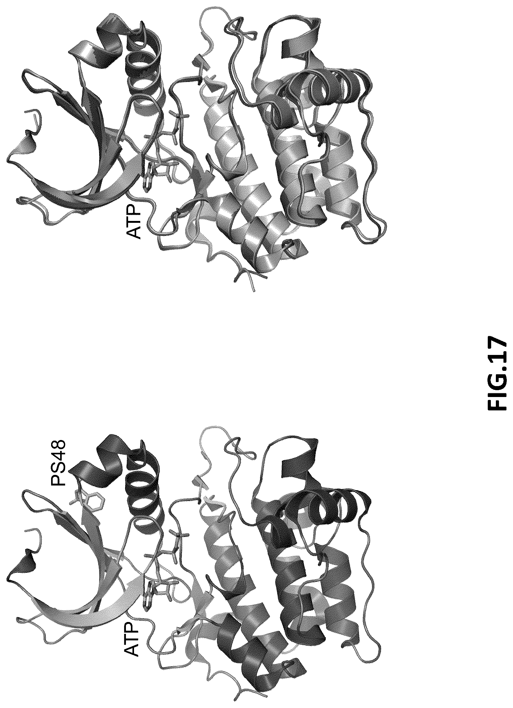 Patent US12326454 Figure 17 – Systems and methods for identifying positive allosteric modulators of enzymes to enhance activity