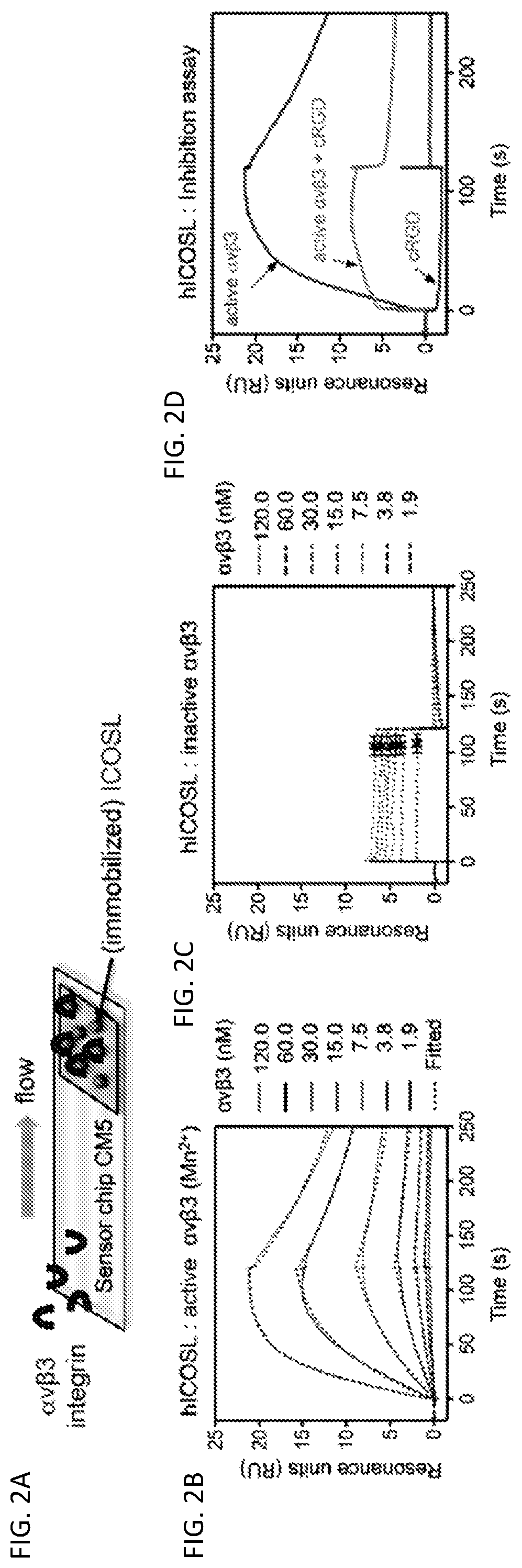 Patent US12326457 Figure 4 – ICOSL for use as a renal therapeutic