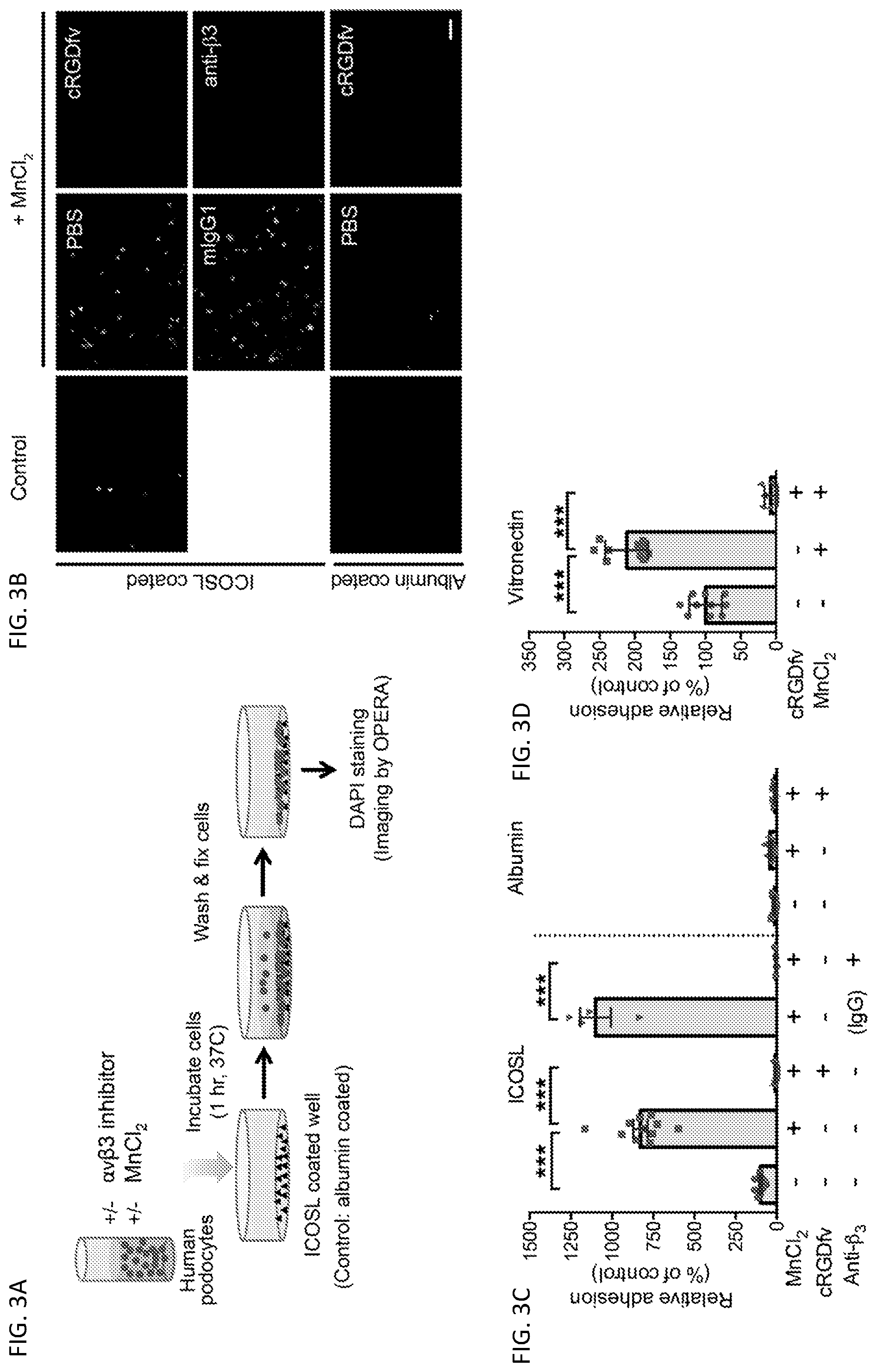 Patent US12326457 Figure 6 – ICOSL for use as a renal therapeutic