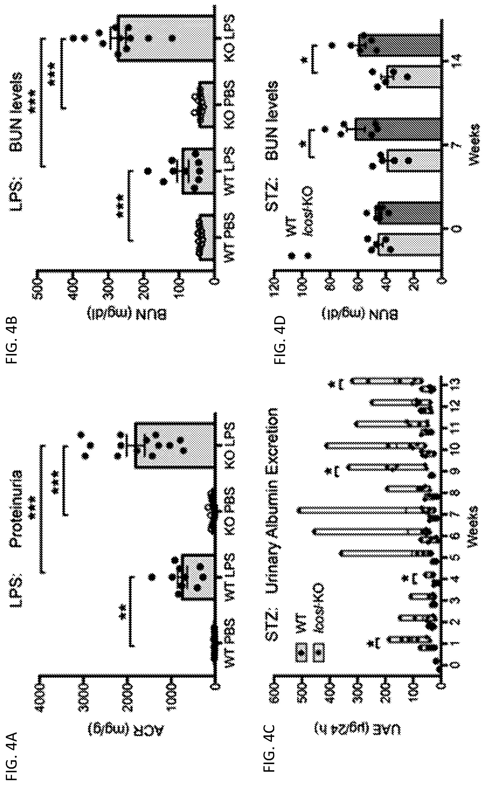 Patent US12326457 Figure 7 – ICOSL for use as a renal therapeutic