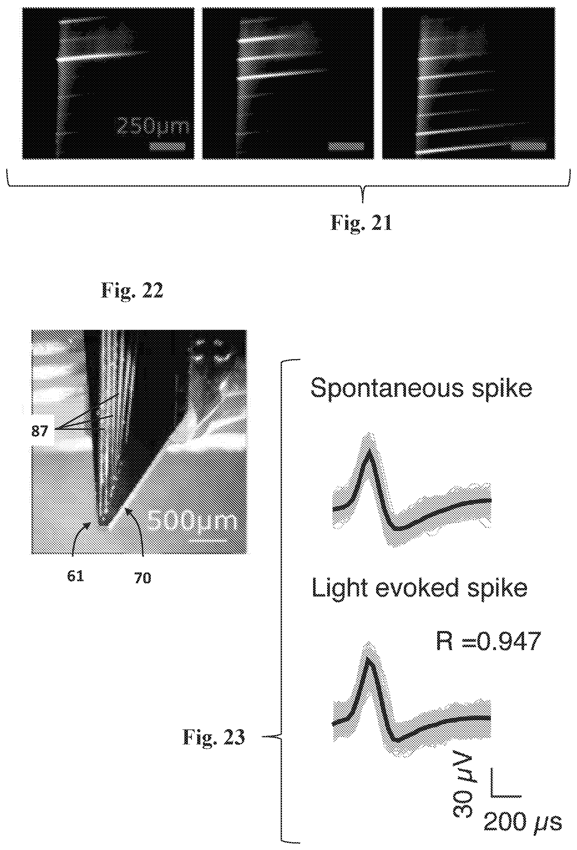 Patent US12326622 Figure 8 – Thermally tunable low broadband waveguides and related systems and methods