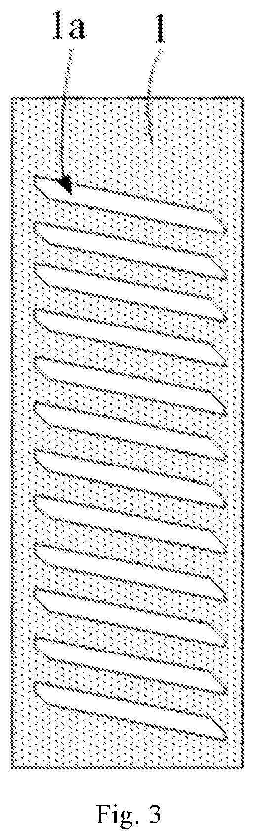 Patent US12326638 Figure 3 – Pixel electrode, array substrate and display device