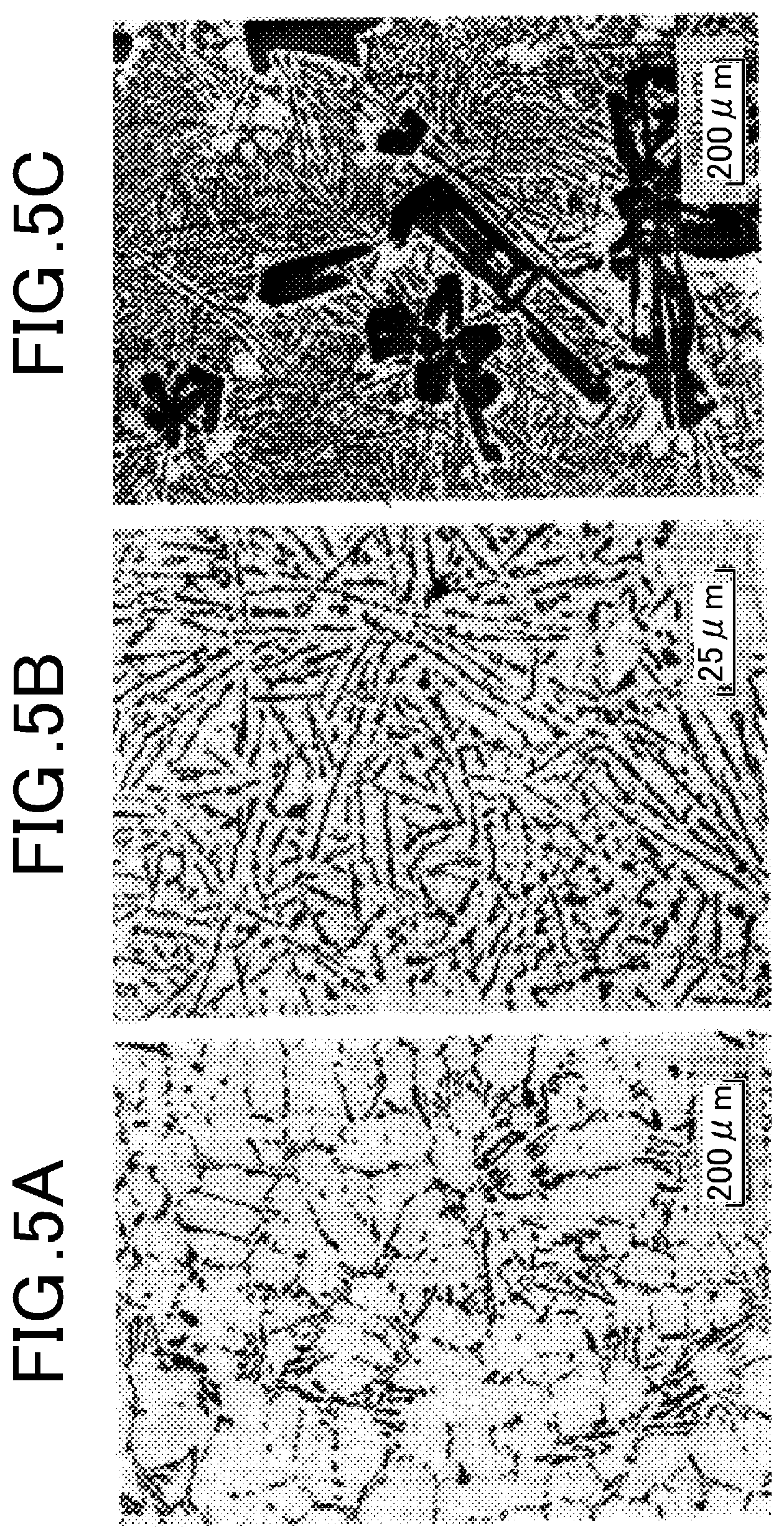 Patent US12326672 Figure 3 – Developing sleeve and electrophotographic image forming apparatus