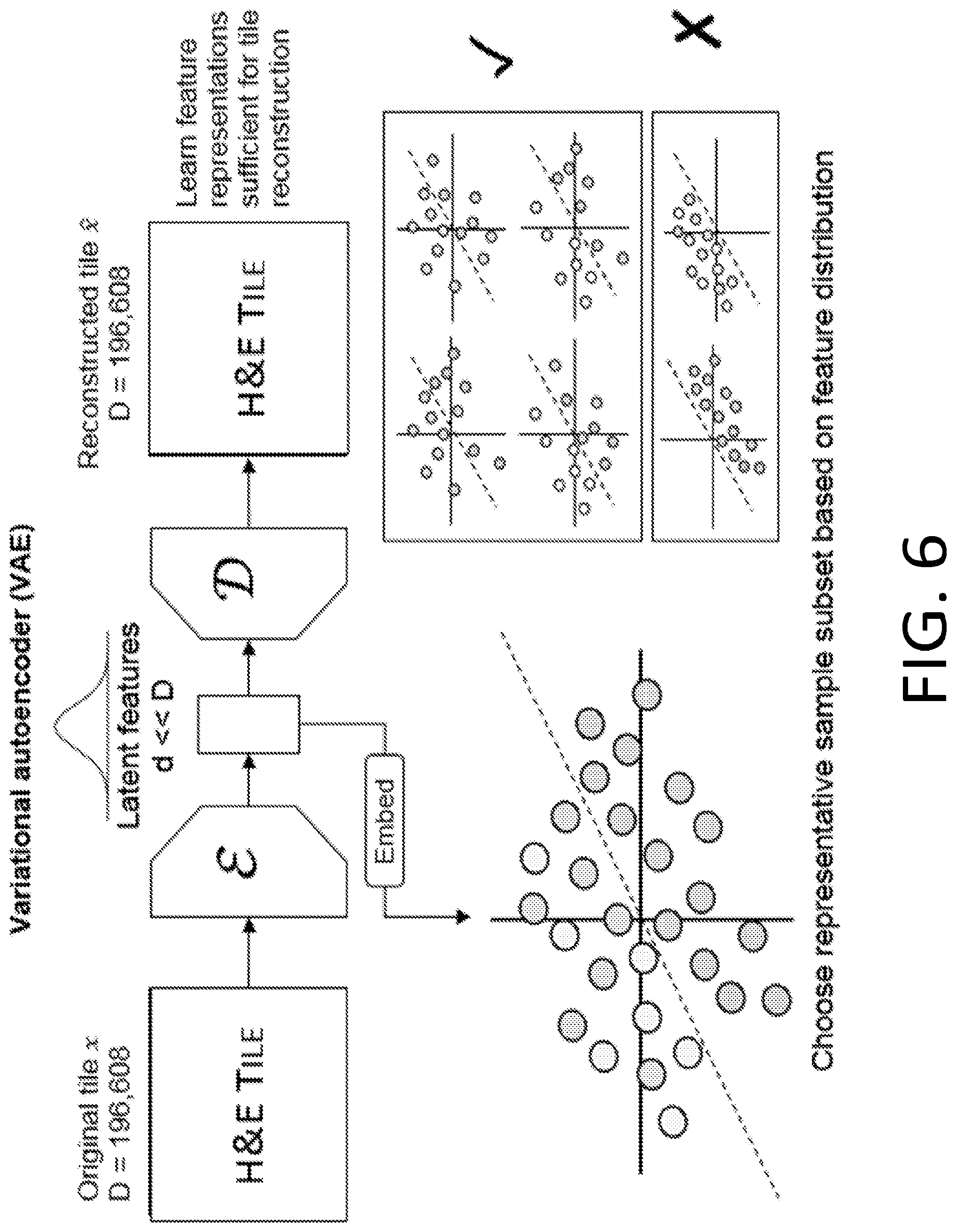 Patent US12327298 Figure 6 – Translation of images of stained biological material