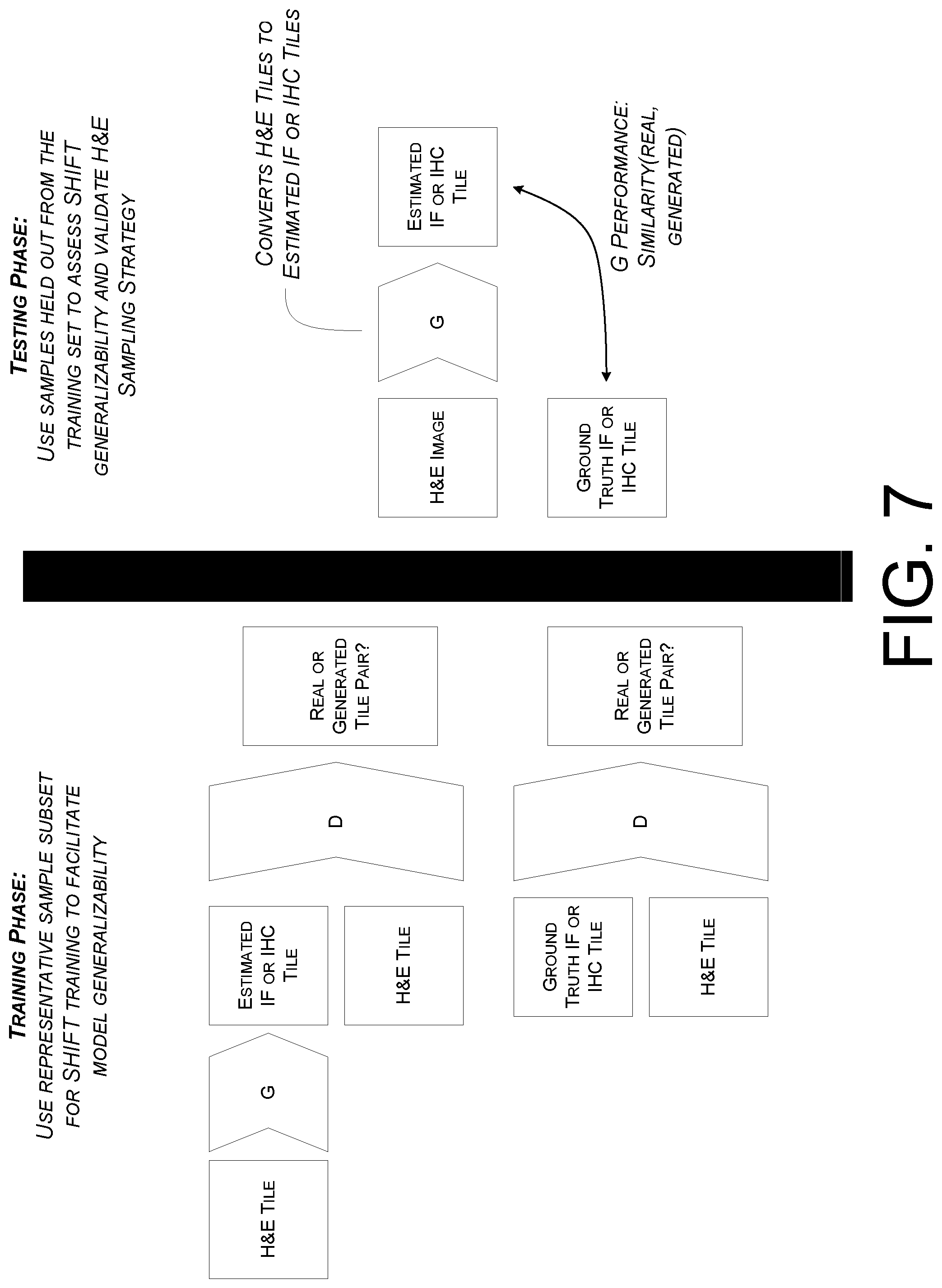 Patent US12327298 Figure 7 – Translation of images of stained biological material