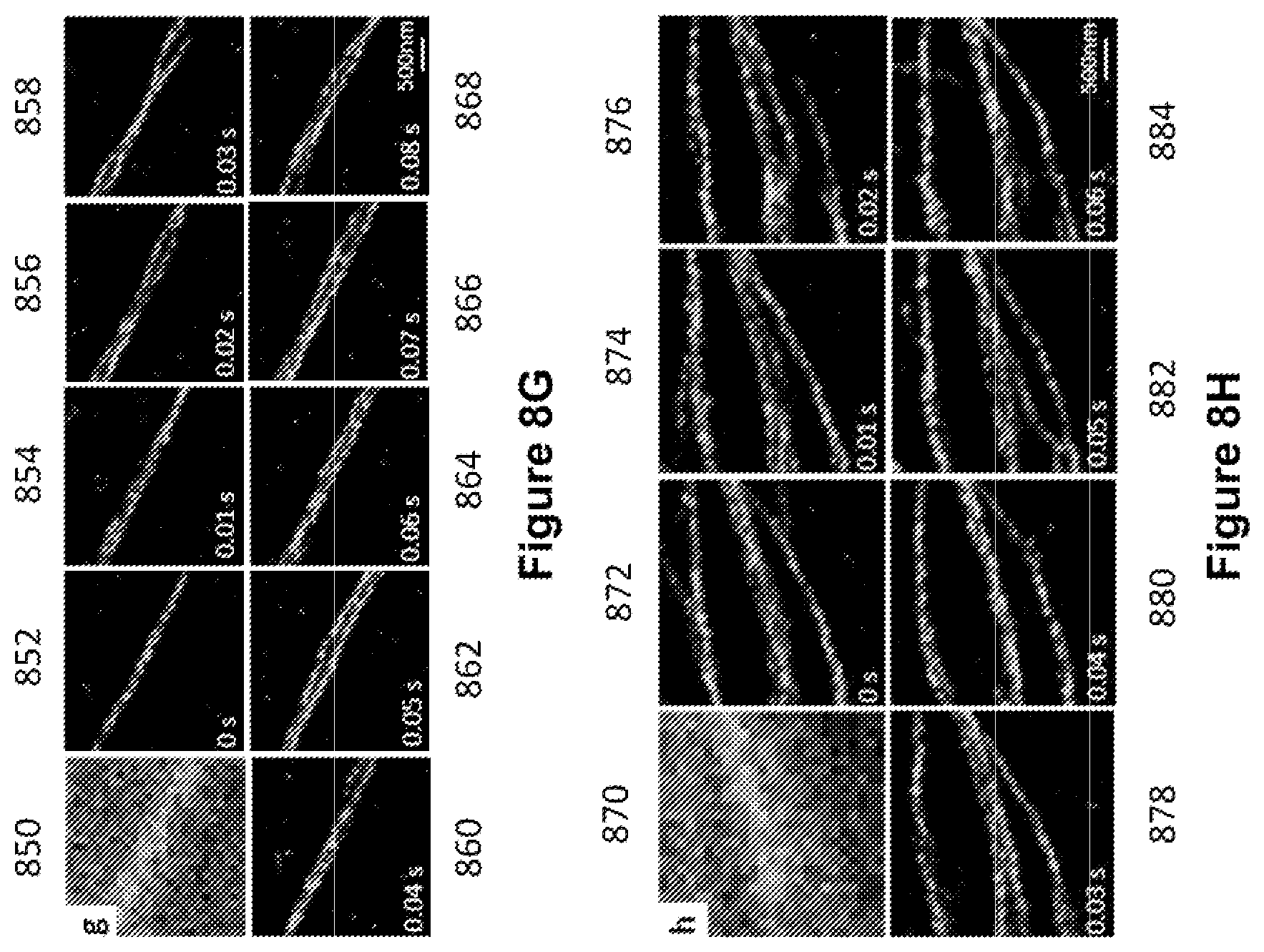 Patent US12327327 Figure 7 – Deep learning based single frame super resolution microscopy image processing