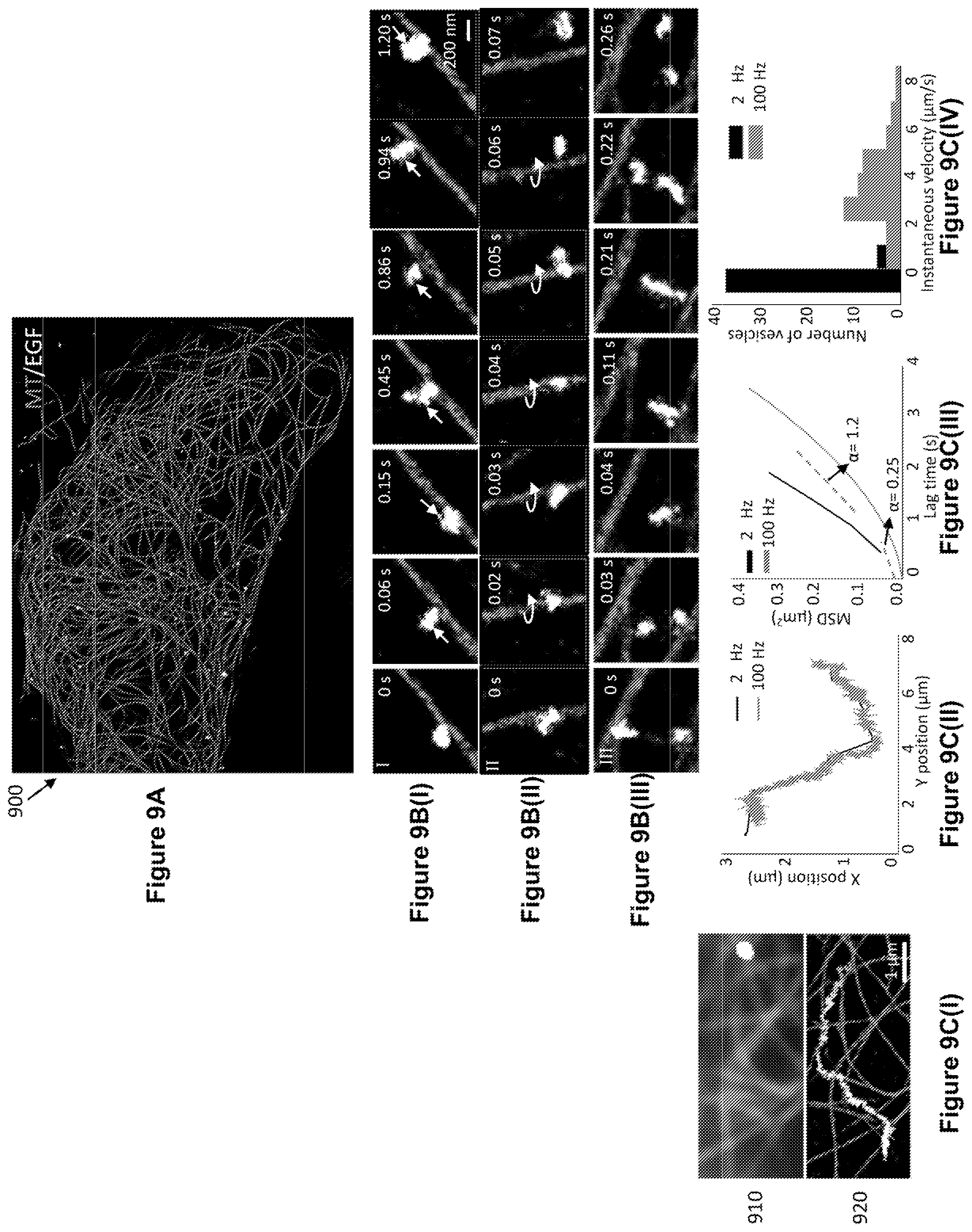 Patent US12327327 Figure 8 – Deep learning based single frame super resolution microscopy image processing