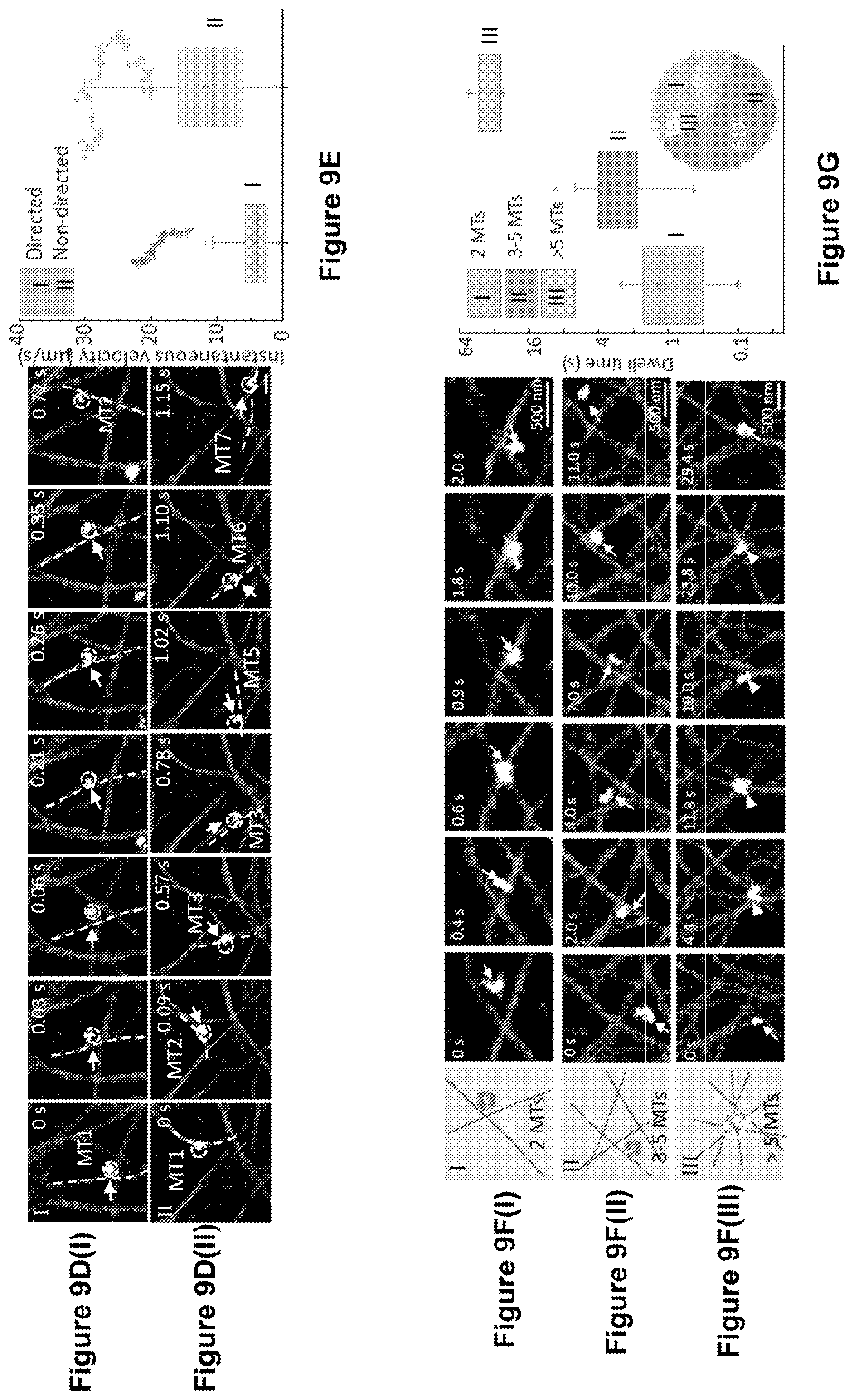 Patent US12327327 Figure 9 – Deep learning based single frame super resolution microscopy image processing