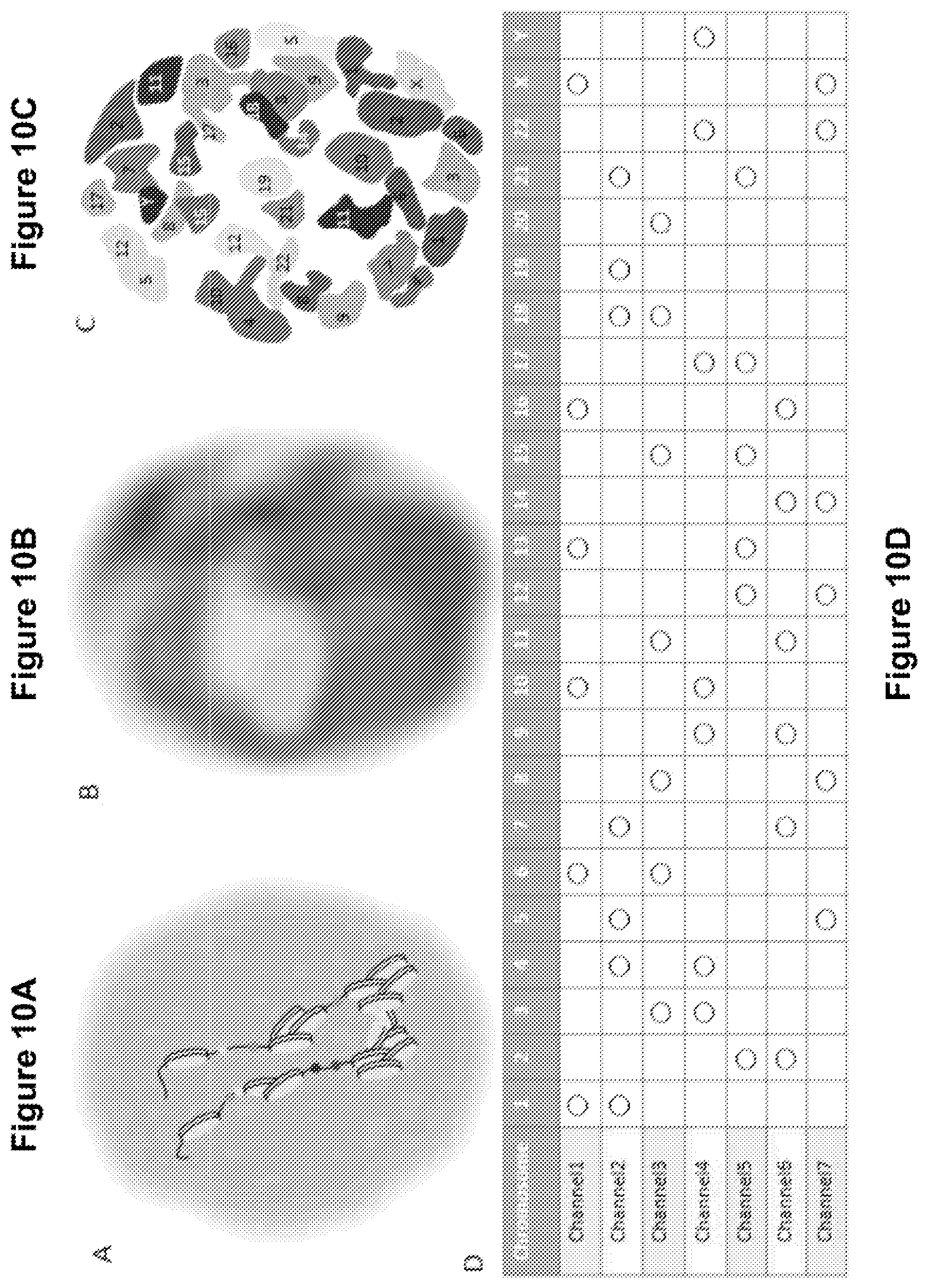 Patent US12327327 Figure 10 – Deep learning based single frame super resolution microscopy image processing