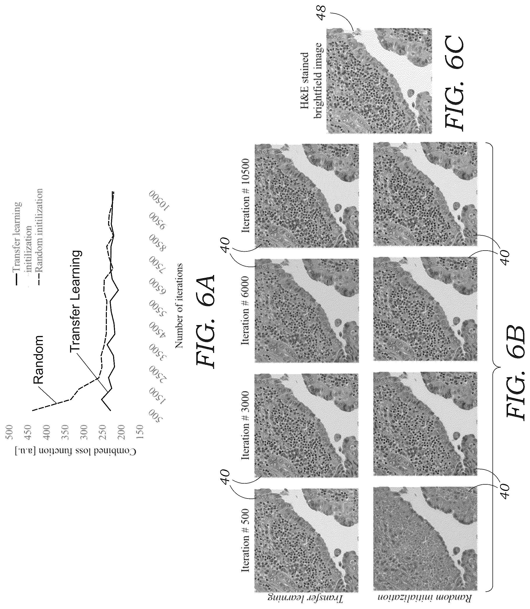 Patent US12327362 Figure 6 – Method and system for digital staining of label-free fluorescence images using deep learning