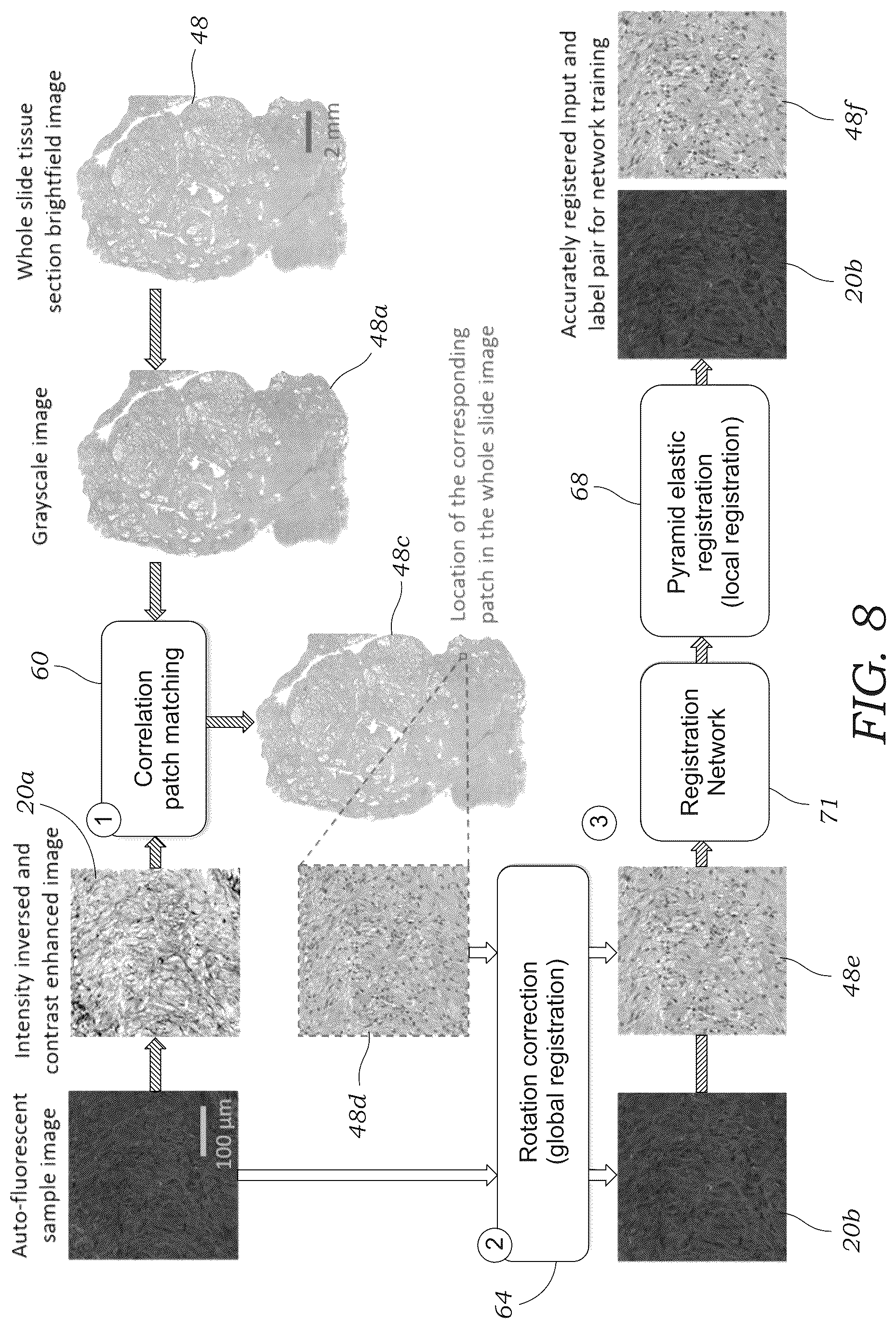 Patent US12327362 Figure 8 – Method and system for digital staining of label-free fluorescence images using deep learning
