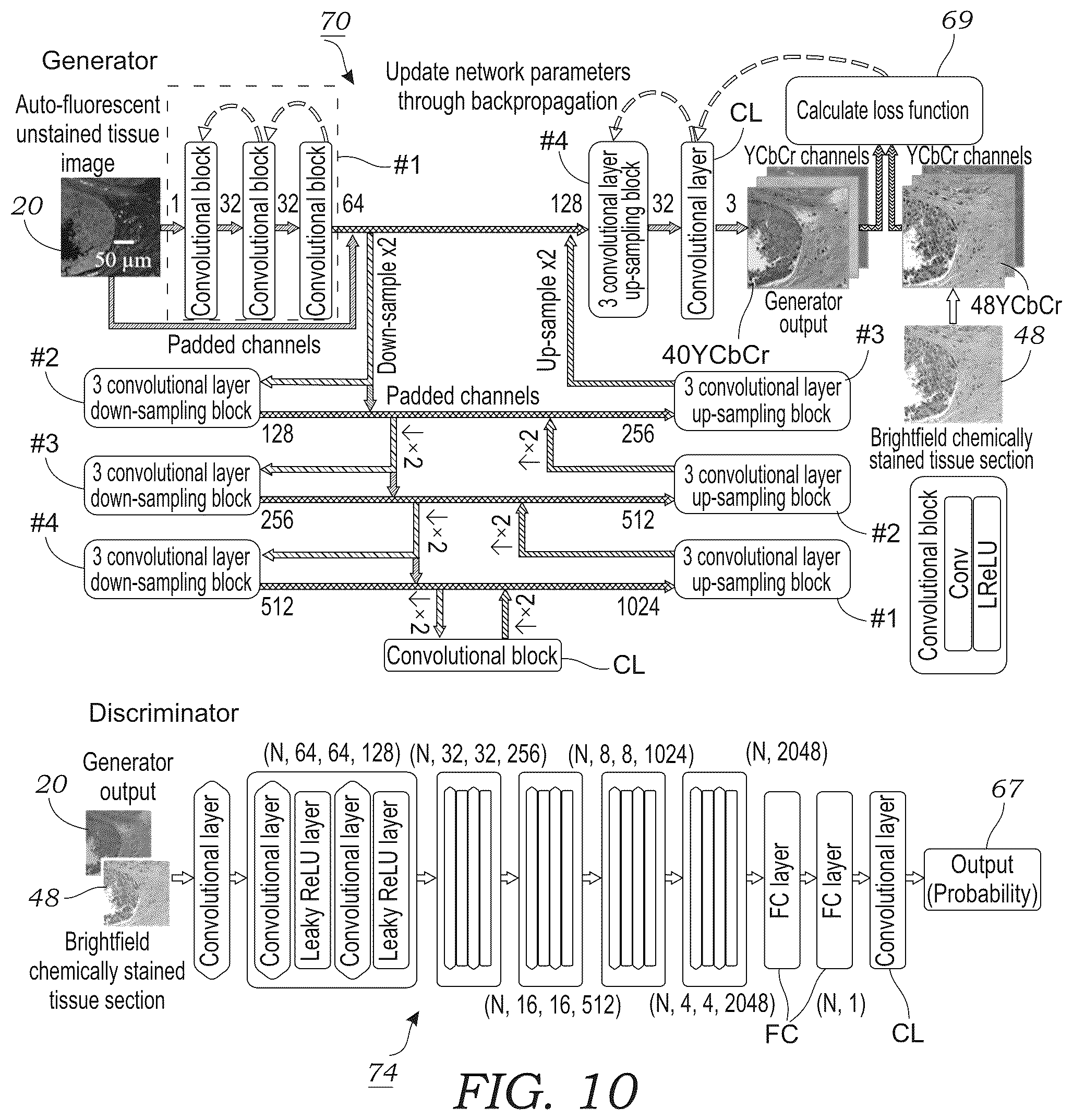 Patent US12327362 Figure 10 – Method and system for digital staining of label-free fluorescence images using deep learning