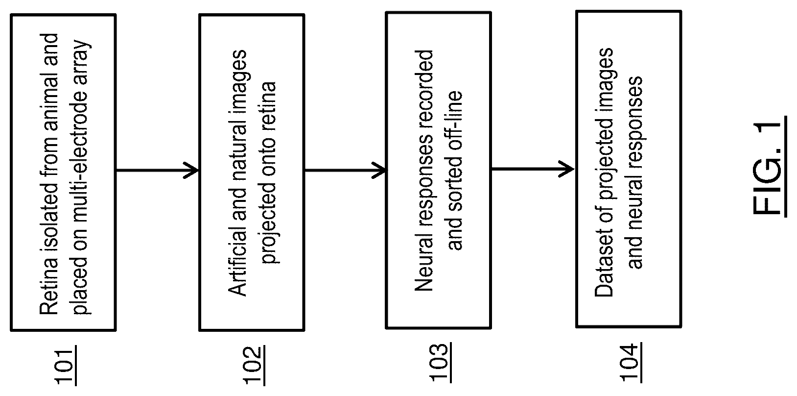 Patent US12327389 Figure 1 – Image classification using retinal ganglion cell modelling