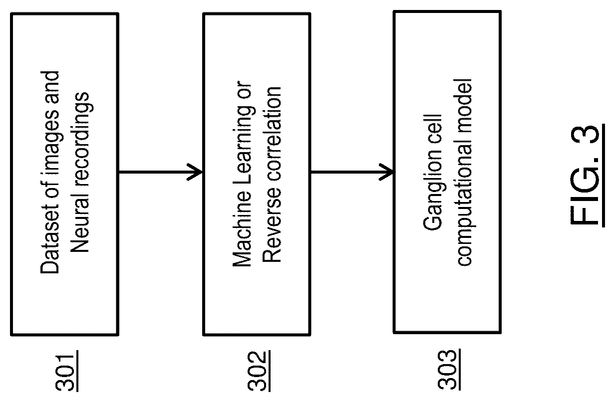 Patent US12327389 Figure 3 – Image classification using retinal ganglion cell modelling