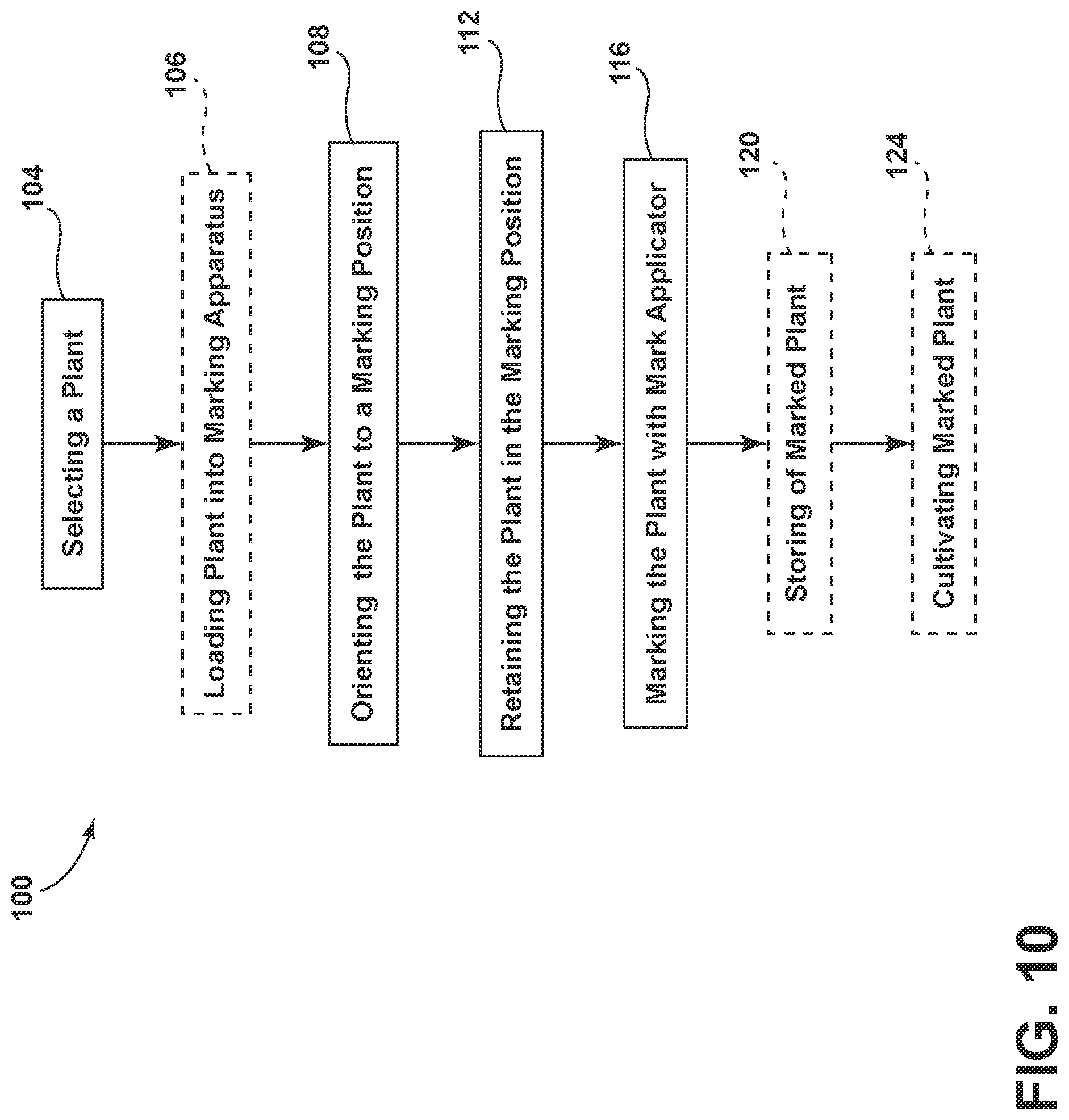 Patent US12327496 Figure 10 – Method of decoratively scarifying plant leaves