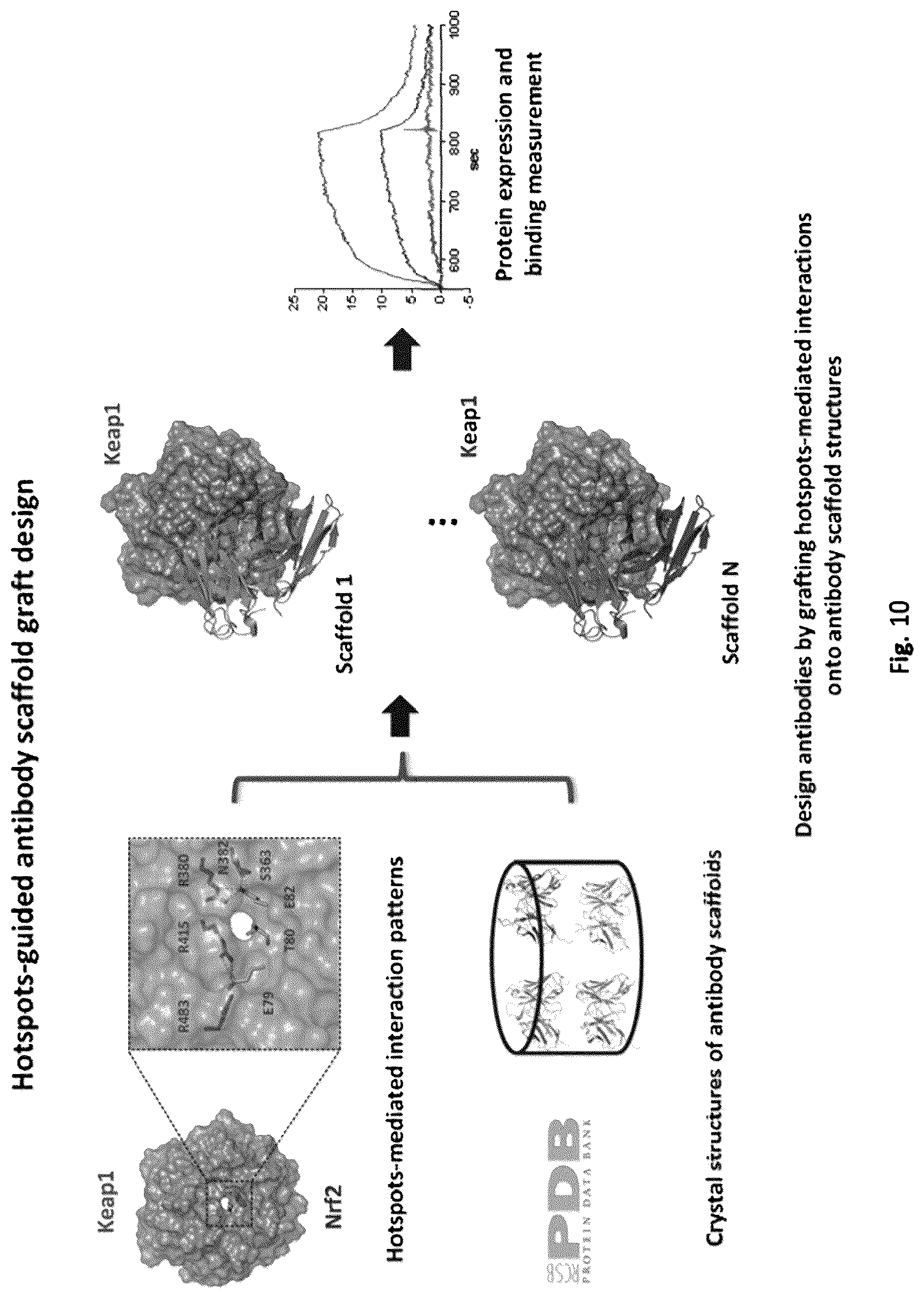Patent US12327613 Figure 6 – De novo antibody design