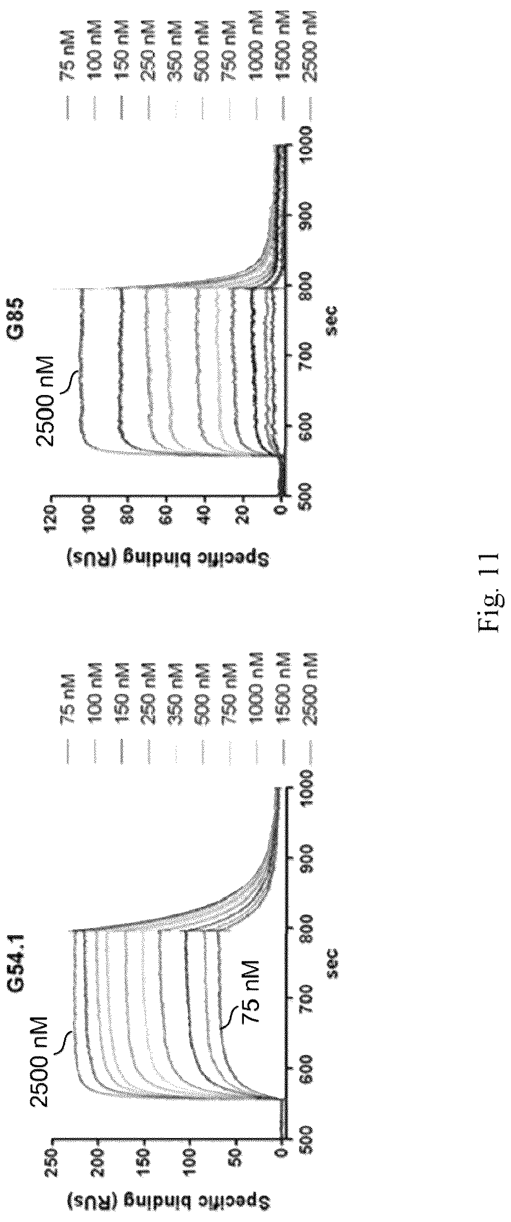 Patent US12327613 Figure 7 – De novo antibody design