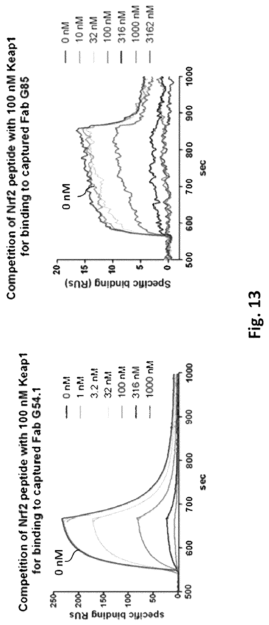Patent US12327613 Figure 9 – De novo antibody design