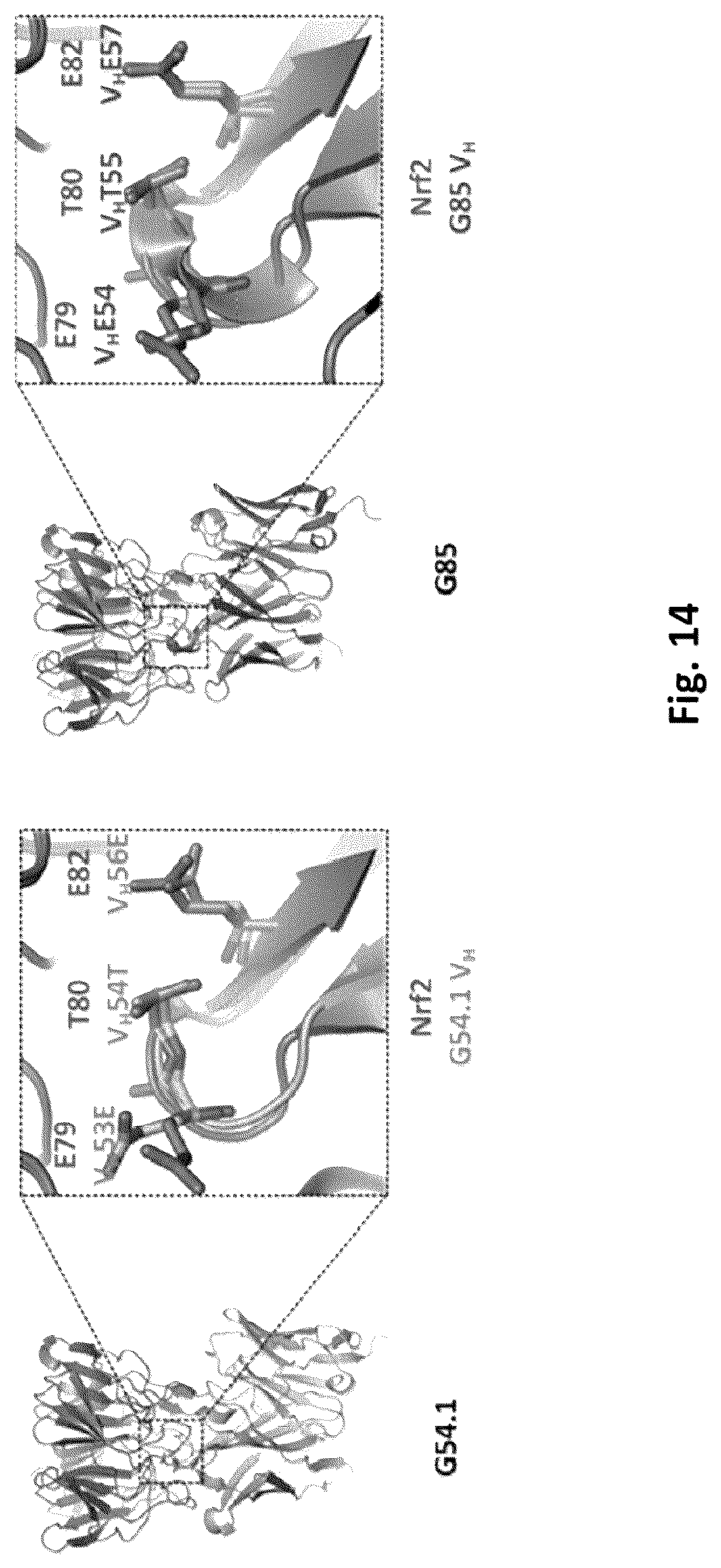 Patent US12327613 Figure 10 – De novo antibody design