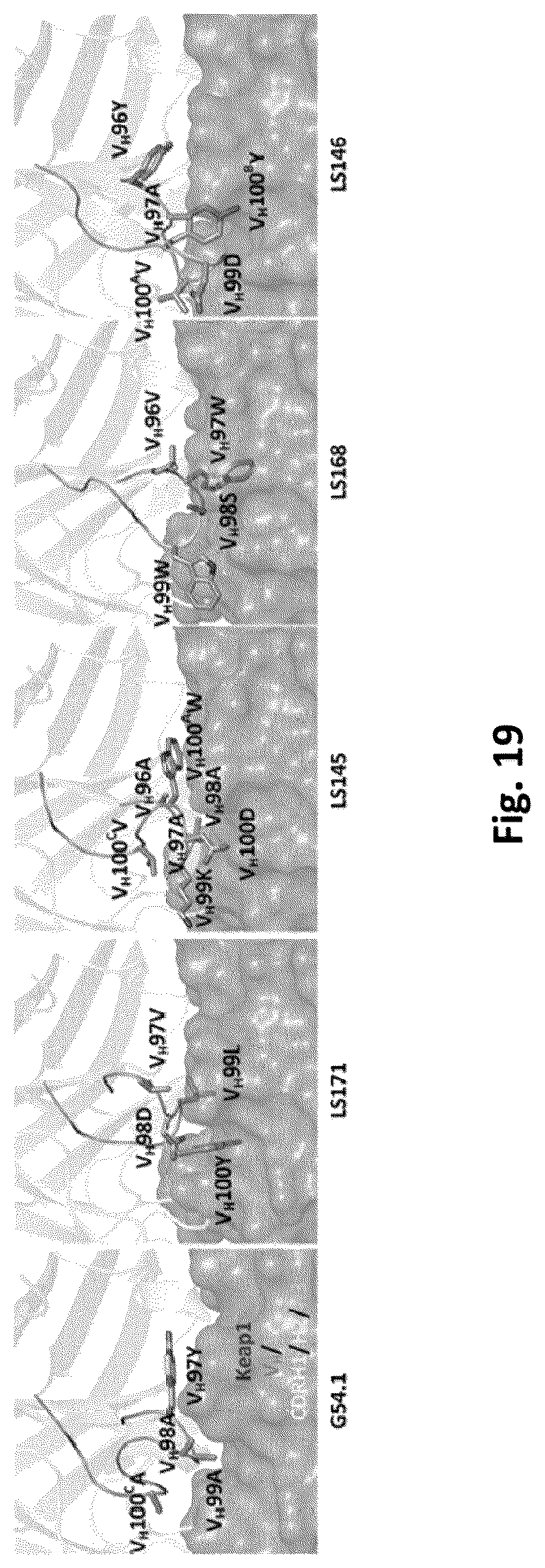 Patent US12327613 Figure 14 – De novo antibody design