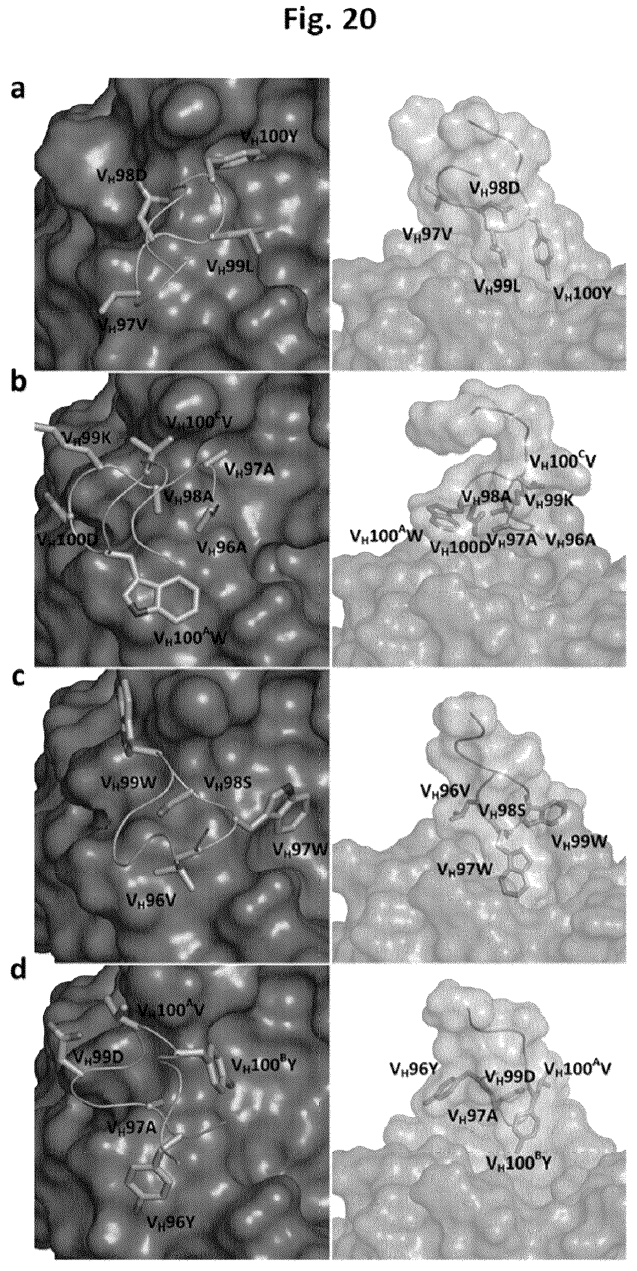 Patent US12327613 Figure 15 – De novo antibody design
