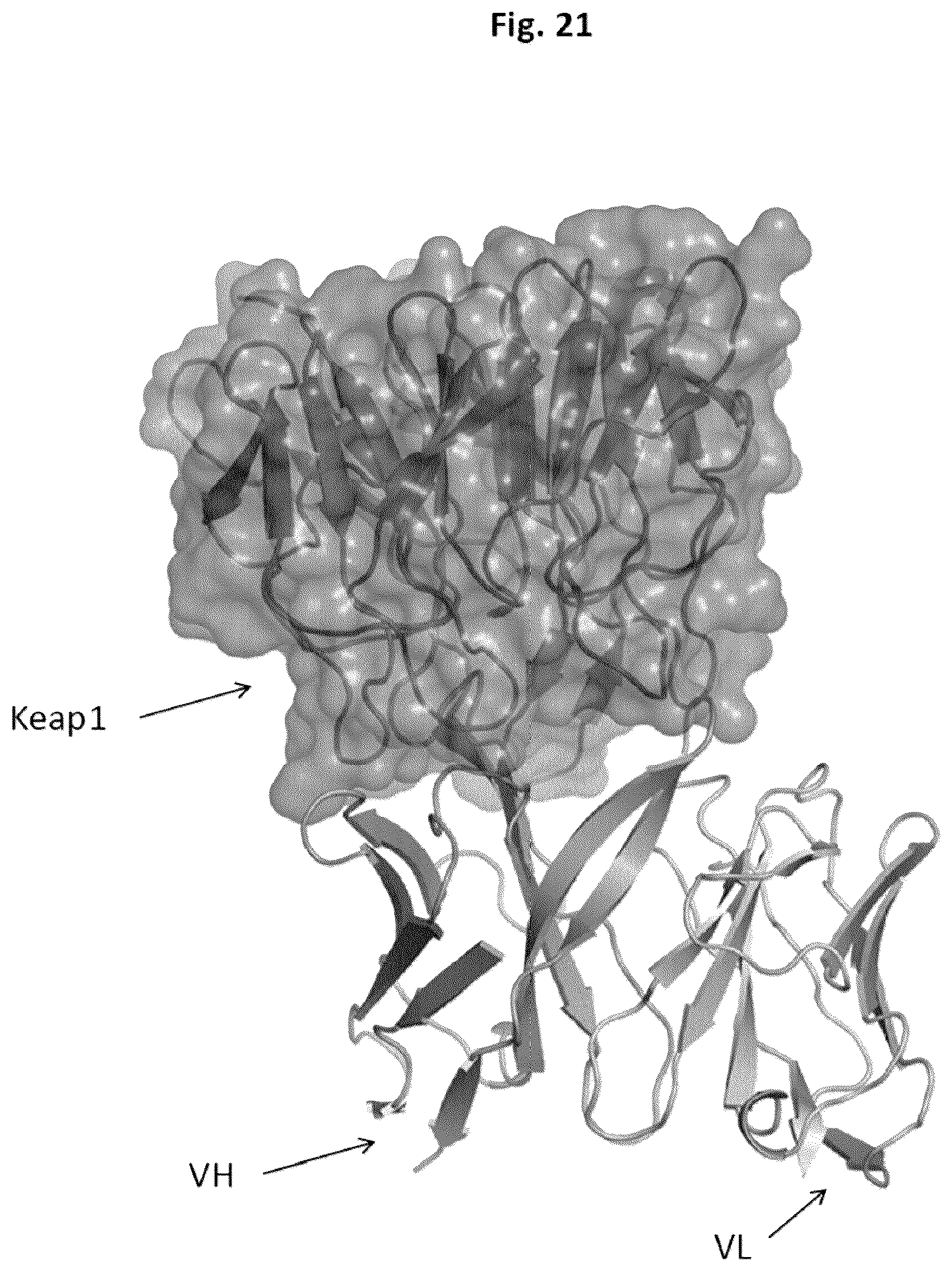 Patent US12327613 Figure 16 – De novo antibody design