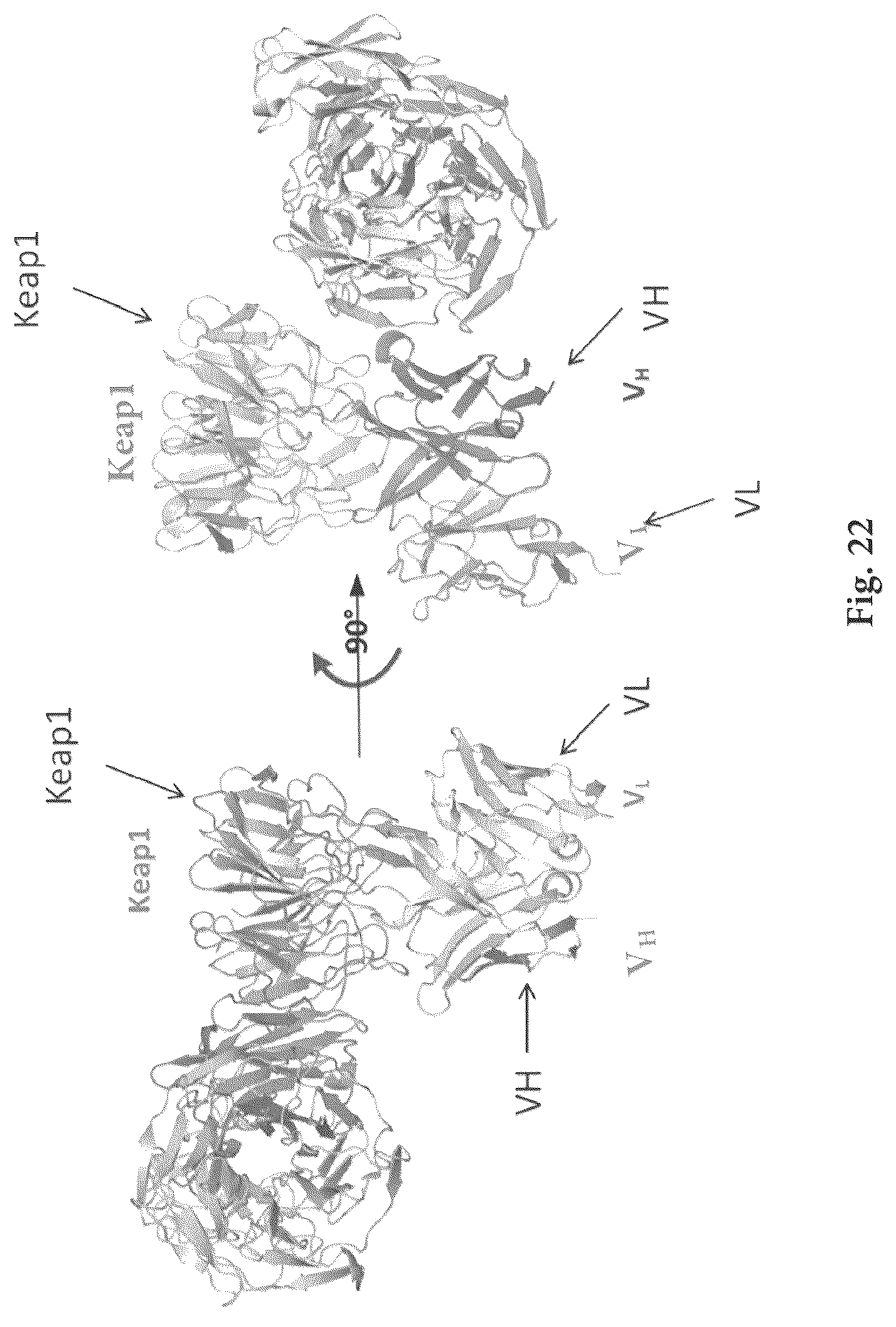 Patent US12327613 Figure 17 – De novo antibody design