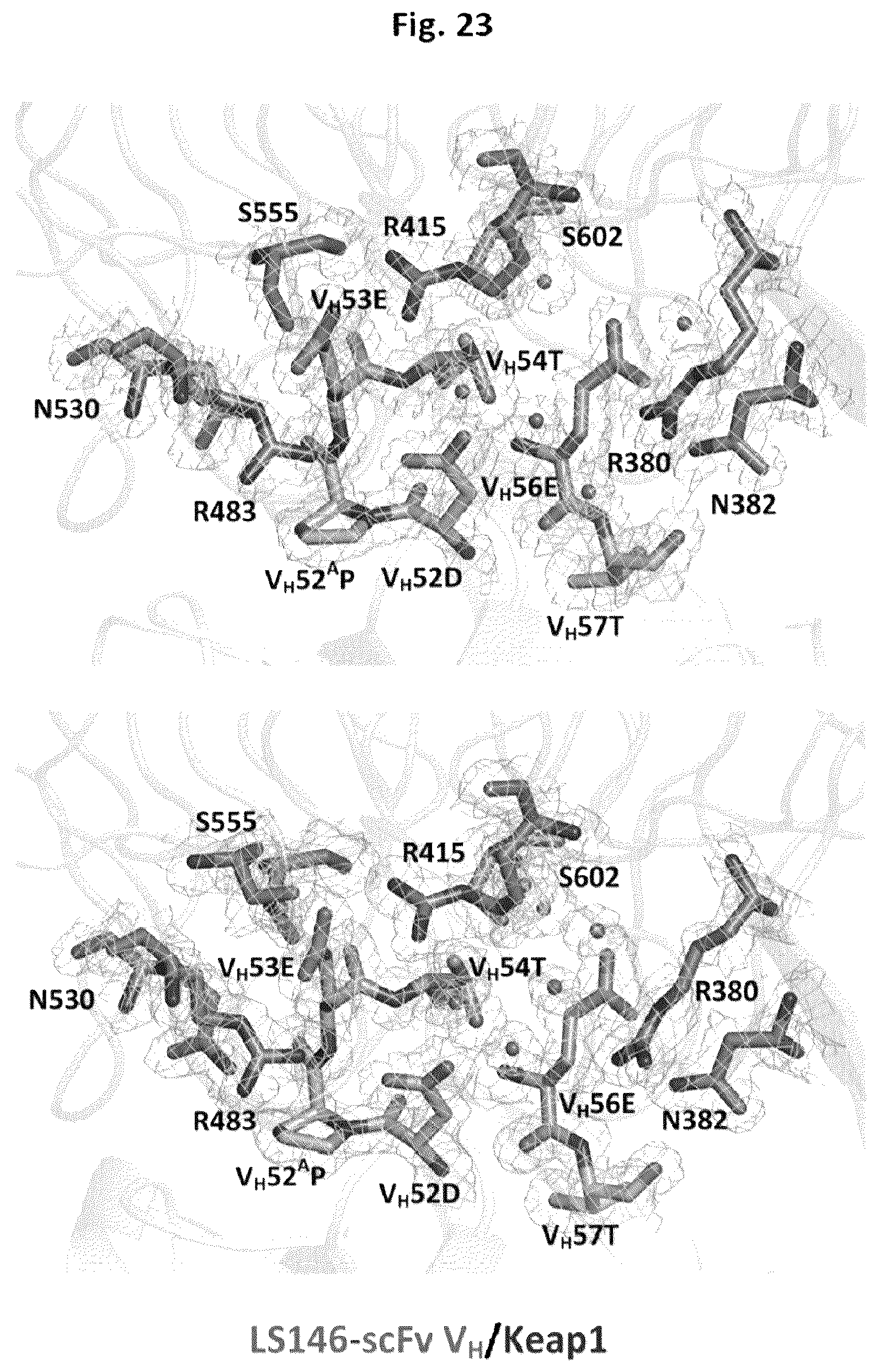 Patent US12327613 Figure 18 – De novo antibody design