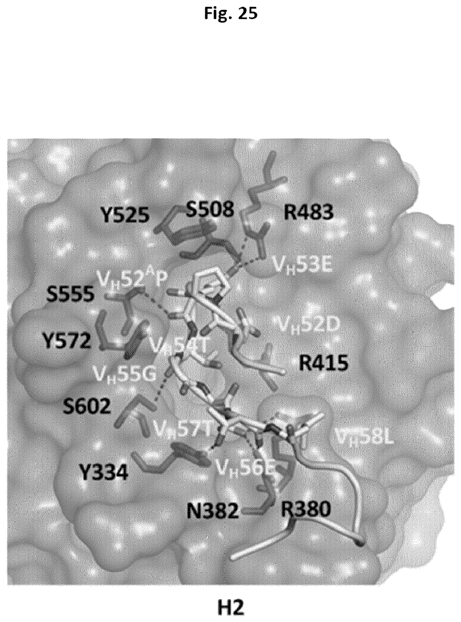 Patent US12327613 Figure 20 – De novo antibody design
