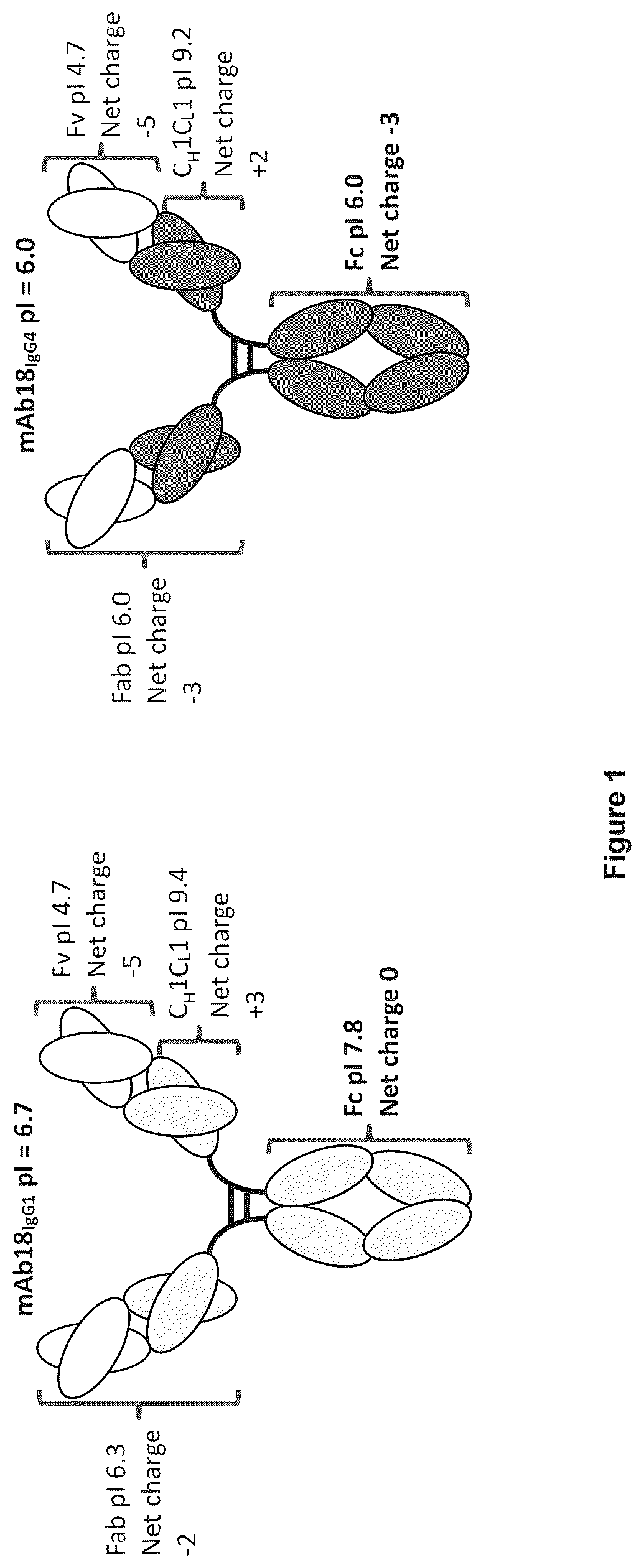 Patent US12327614 Figure 1 – Multi-domain proteins with increased native state colloidal stability