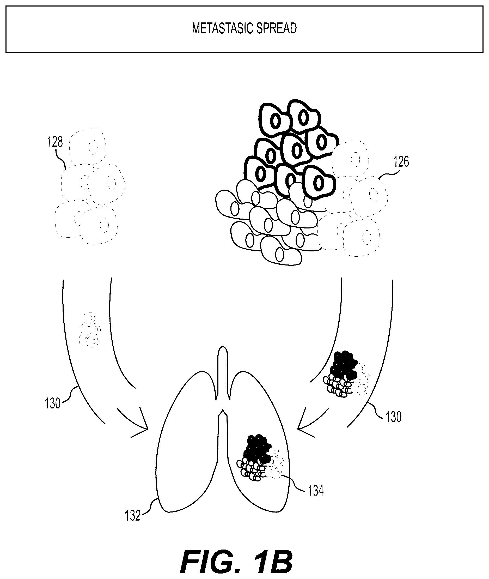 Patent US12327625 Figure 2 – Systems and methods to process electronic images to identify tumor subclones and relationships among subclones