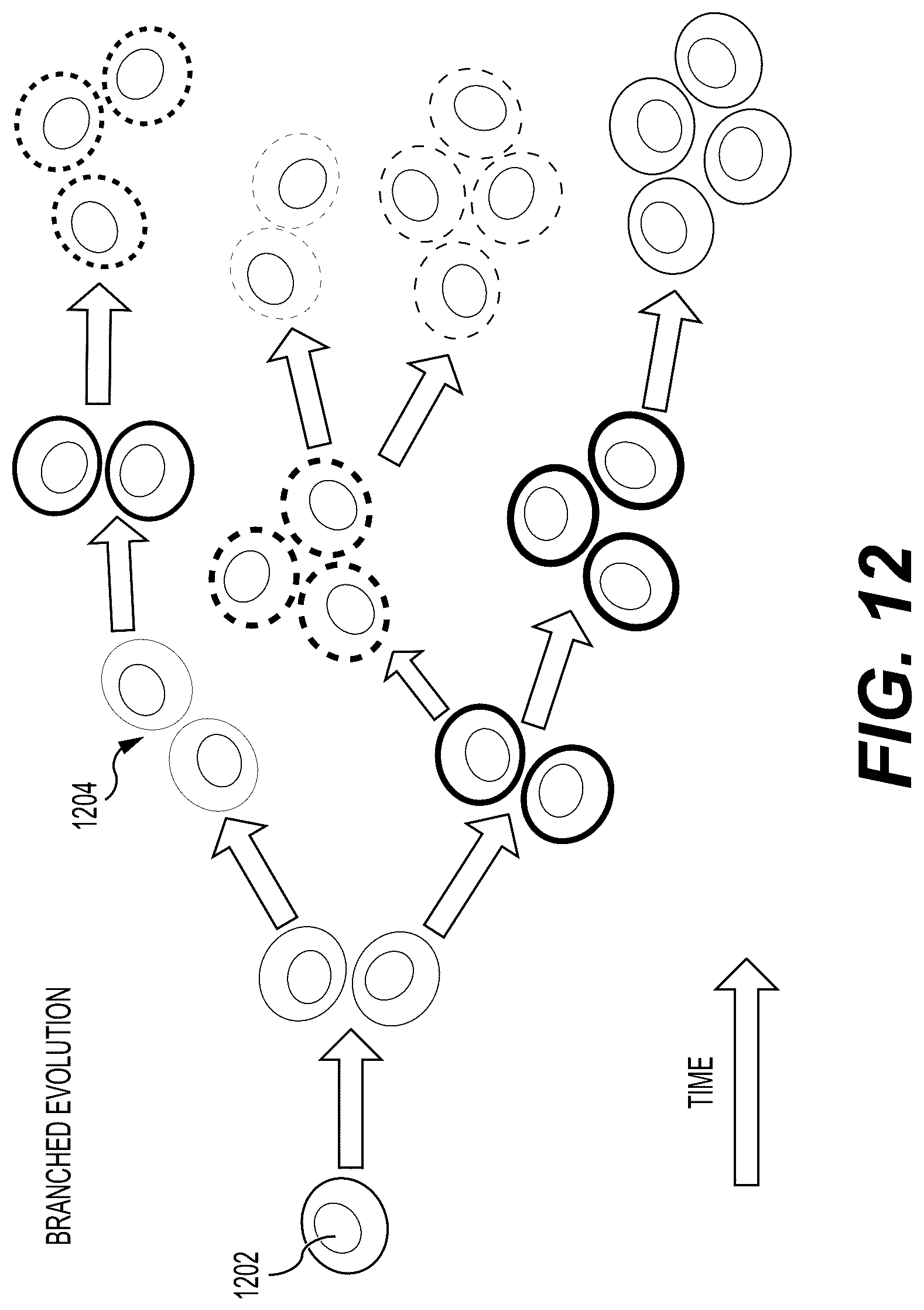 Patent US12327625 Figure 15 – Systems and methods to process electronic images to identify tumor subclones and relationships among subclones