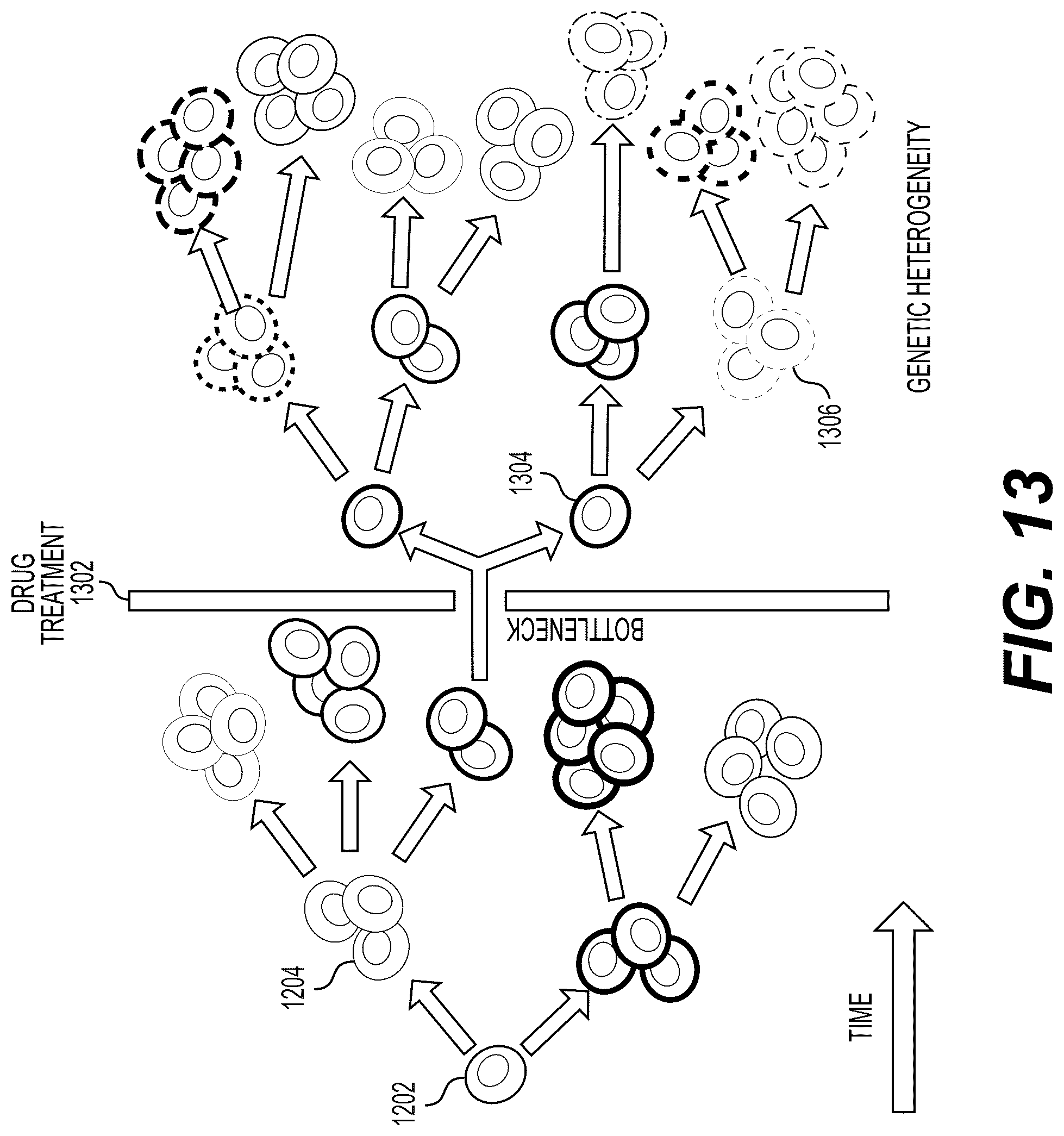 Patent US12327625 Figure 16 – Systems and methods to process electronic images to identify tumor subclones and relationships among subclones