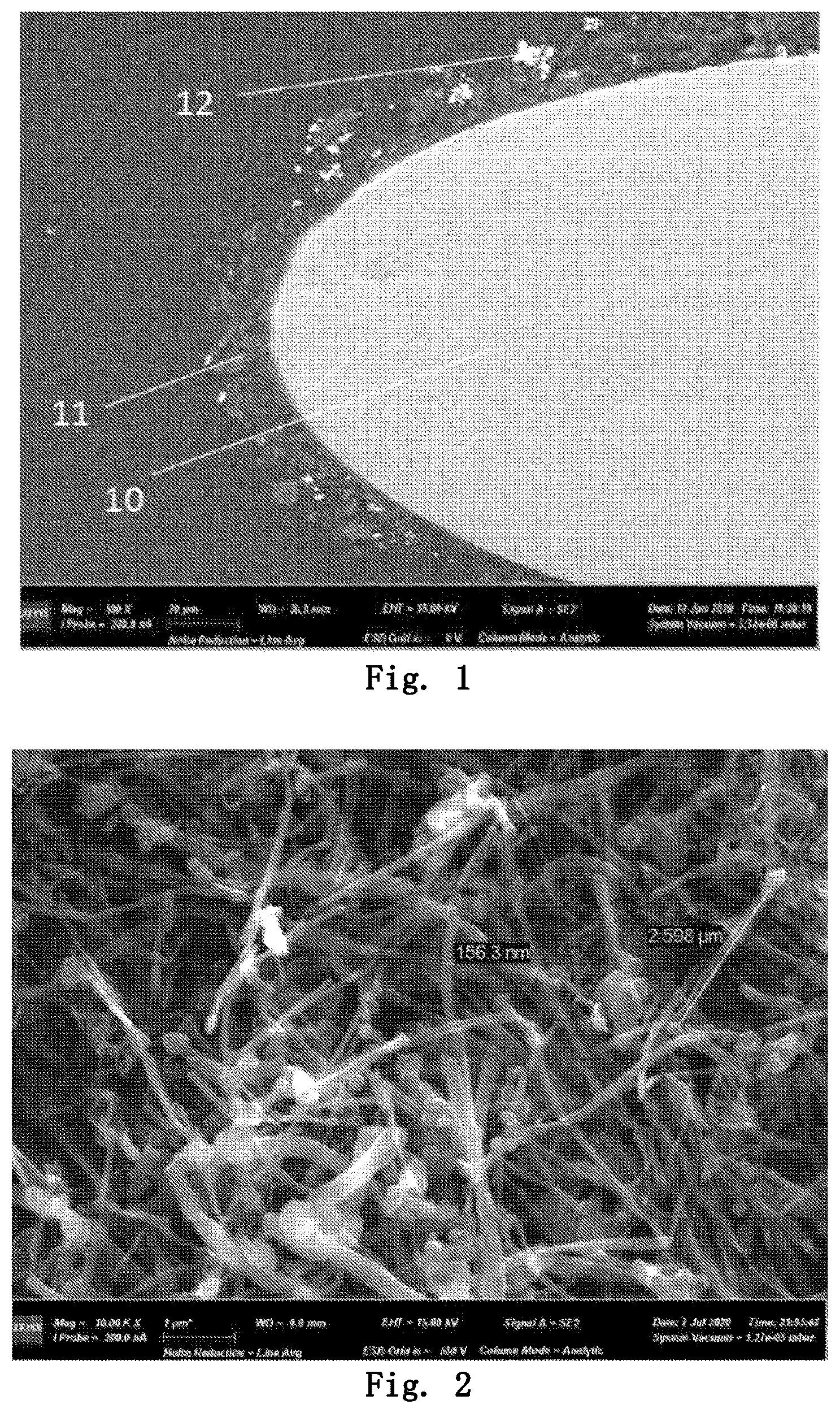 Patent US12327658 Figure 1 – Conductive wire, conductive coil, and conductive device