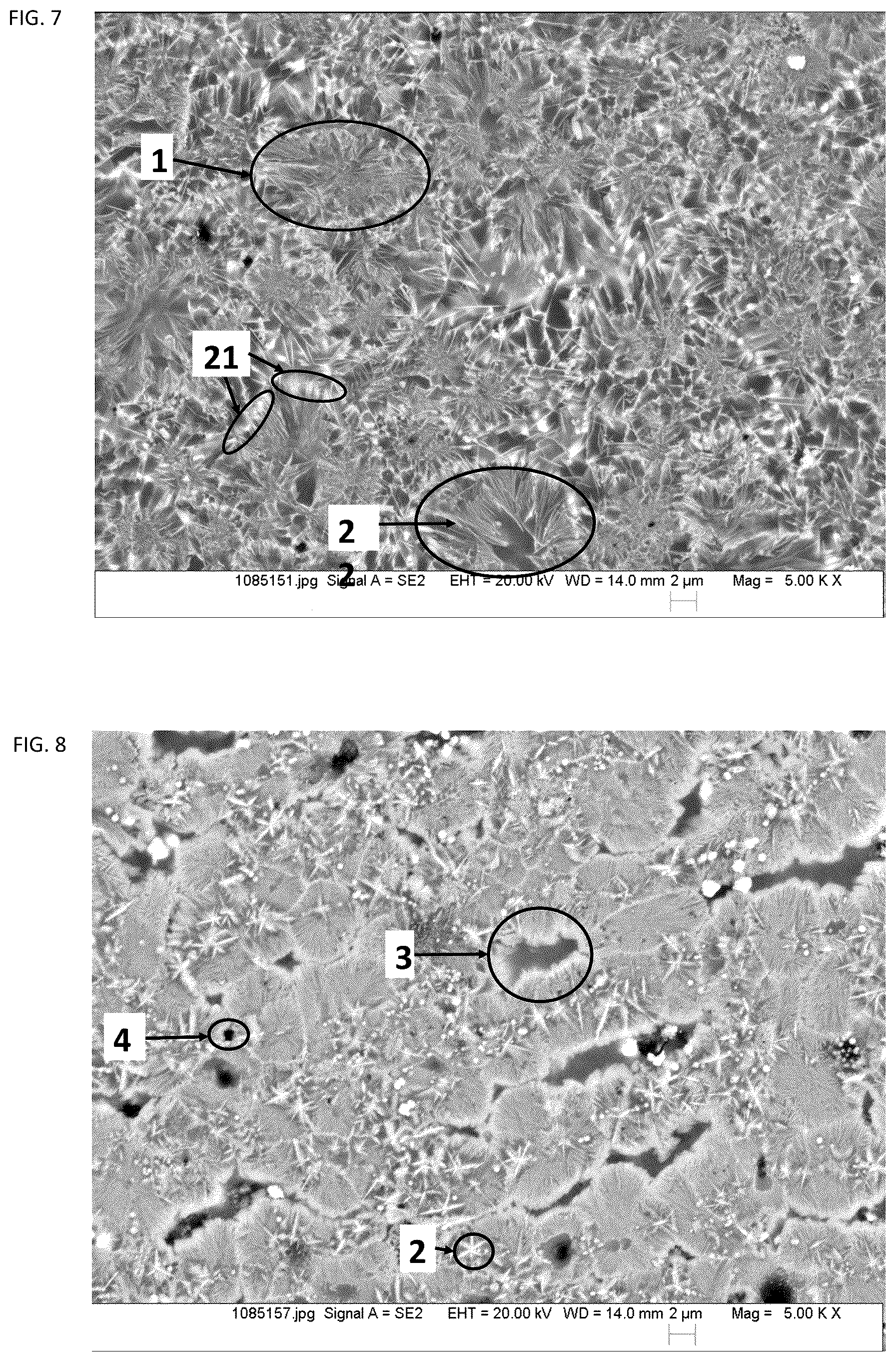 Patent US12327659 Figure 5 – Join having insulating component with partially crystallized glass