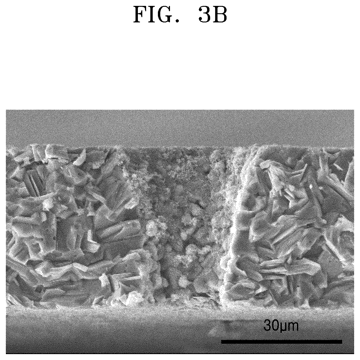 Patent US12327866 Figure 4 – Electrode structure, positive electrode and electrochemical device including the same, and method of preparing the electrode structure