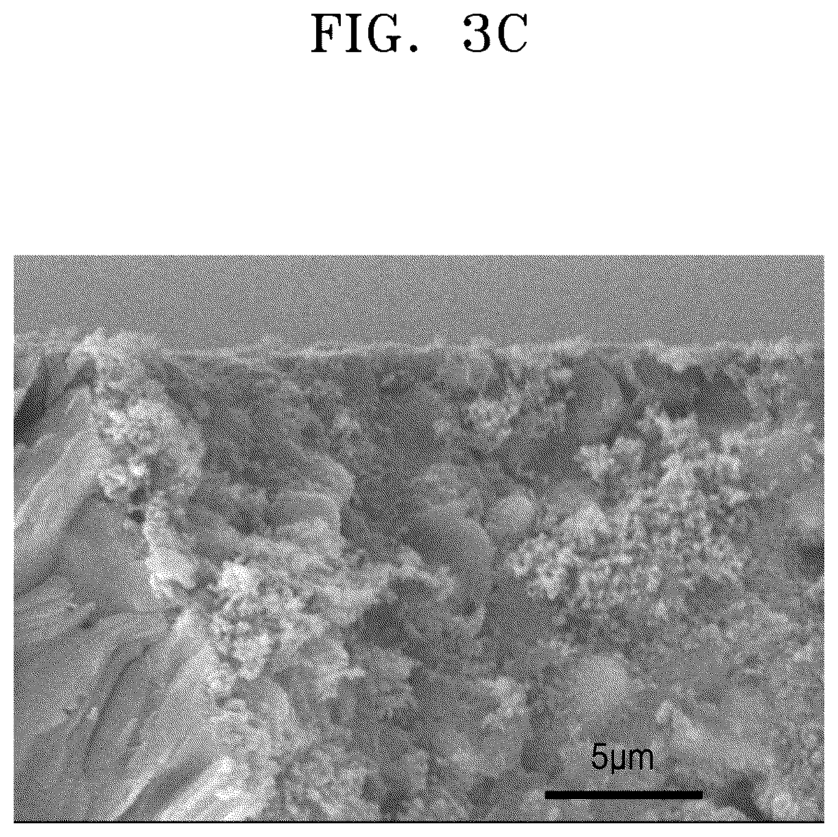 Patent US12327866 Figure 5 – Electrode structure, positive electrode and electrochemical device including the same, and method of preparing the electrode structure